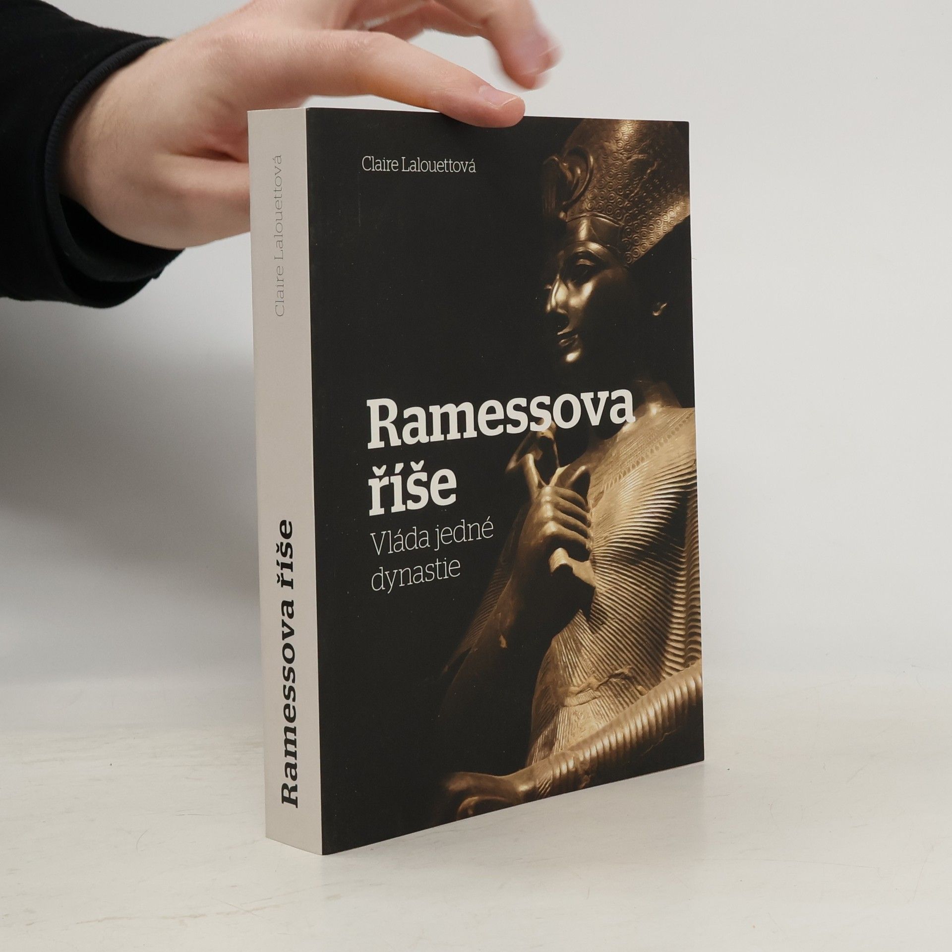 Ramessova říše: Vláda jedné dynastie