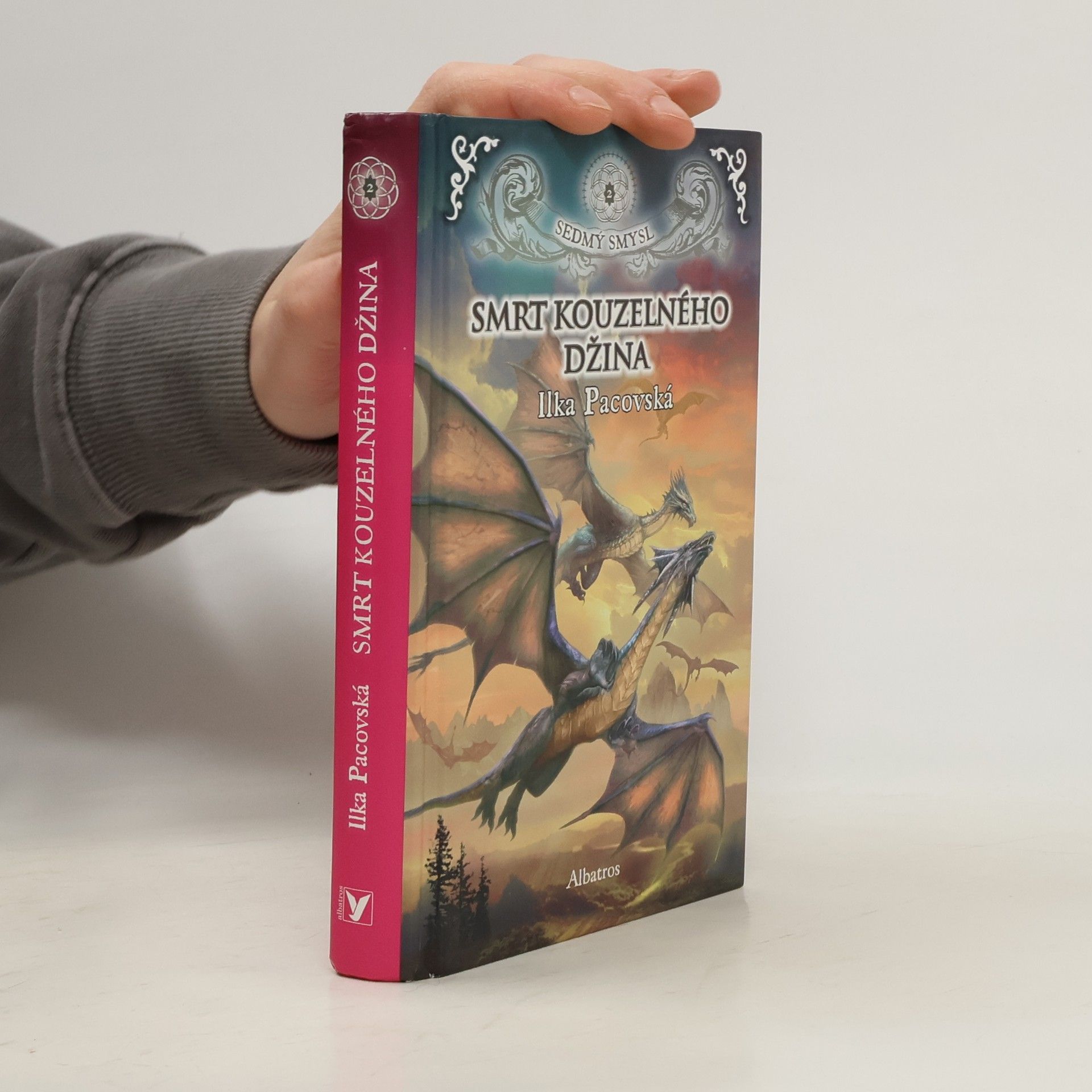 Smrt kouzelného džina. Sedmý smysl 2