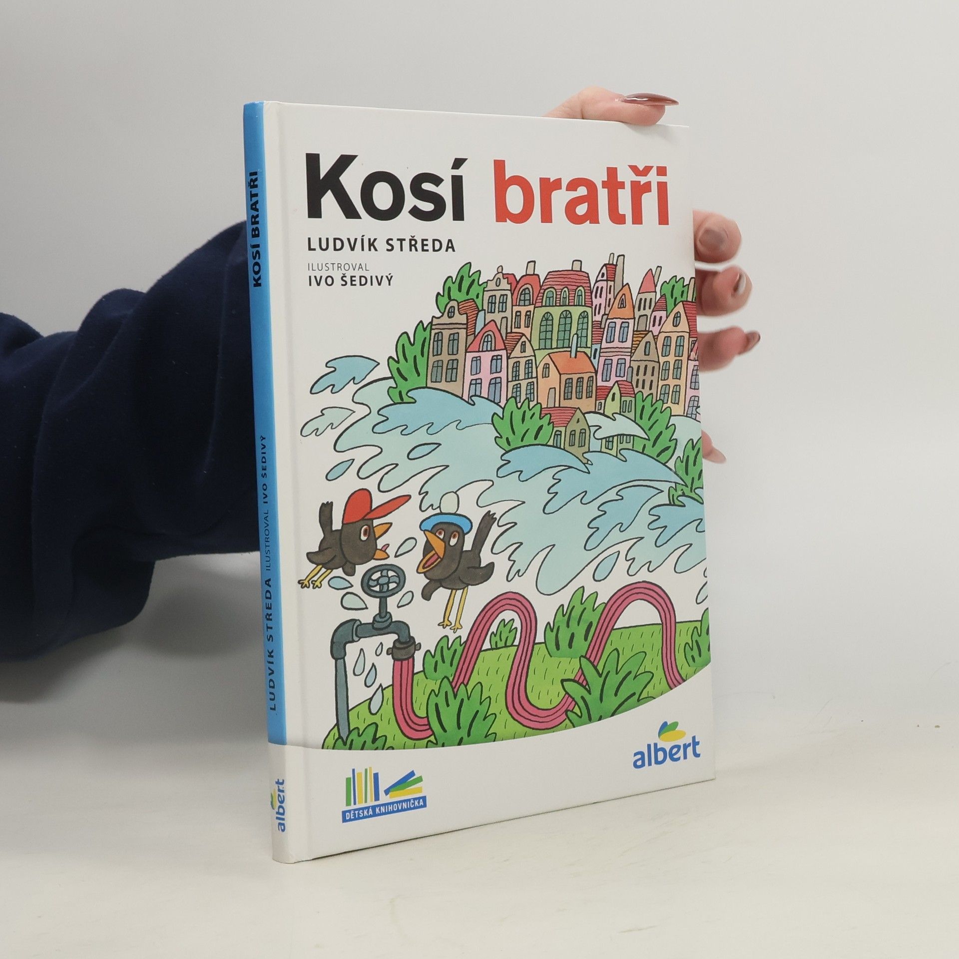 Ludvík Středa Kosí bratři