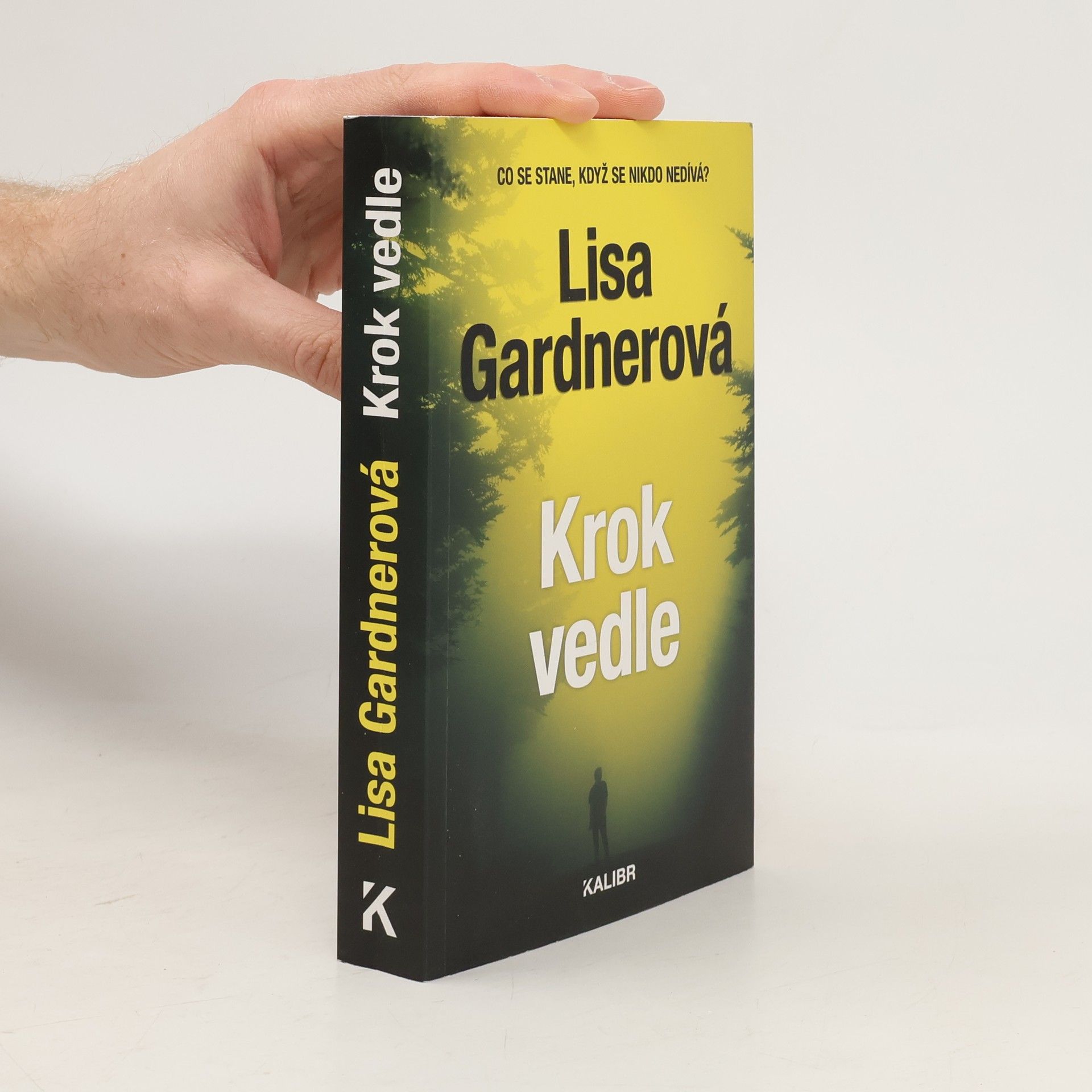 Lisa Gardner Krok vedle