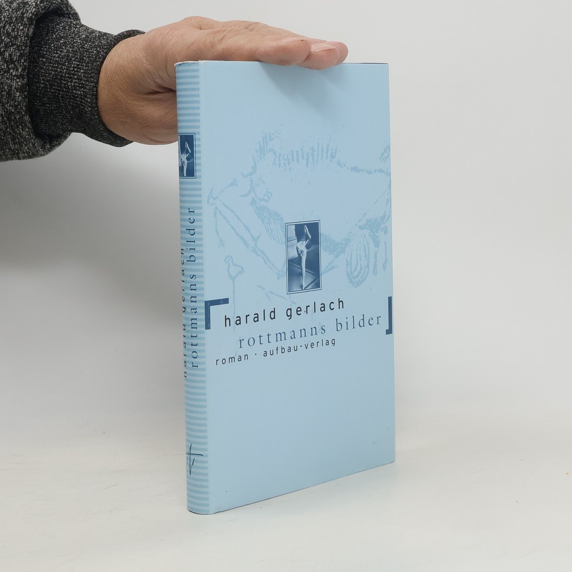 Harald Gerlach Rottmanns Bilder