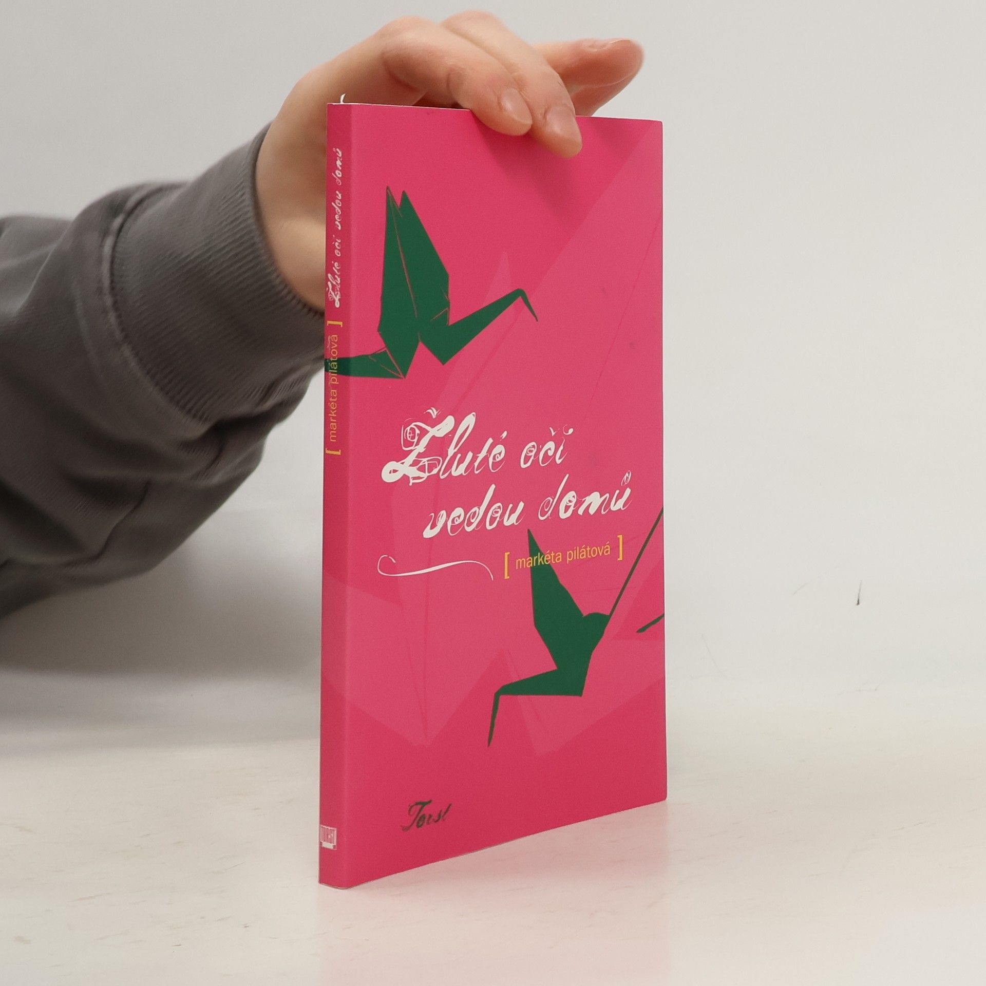 Markéta Pilátová Žluté oči vedou domů