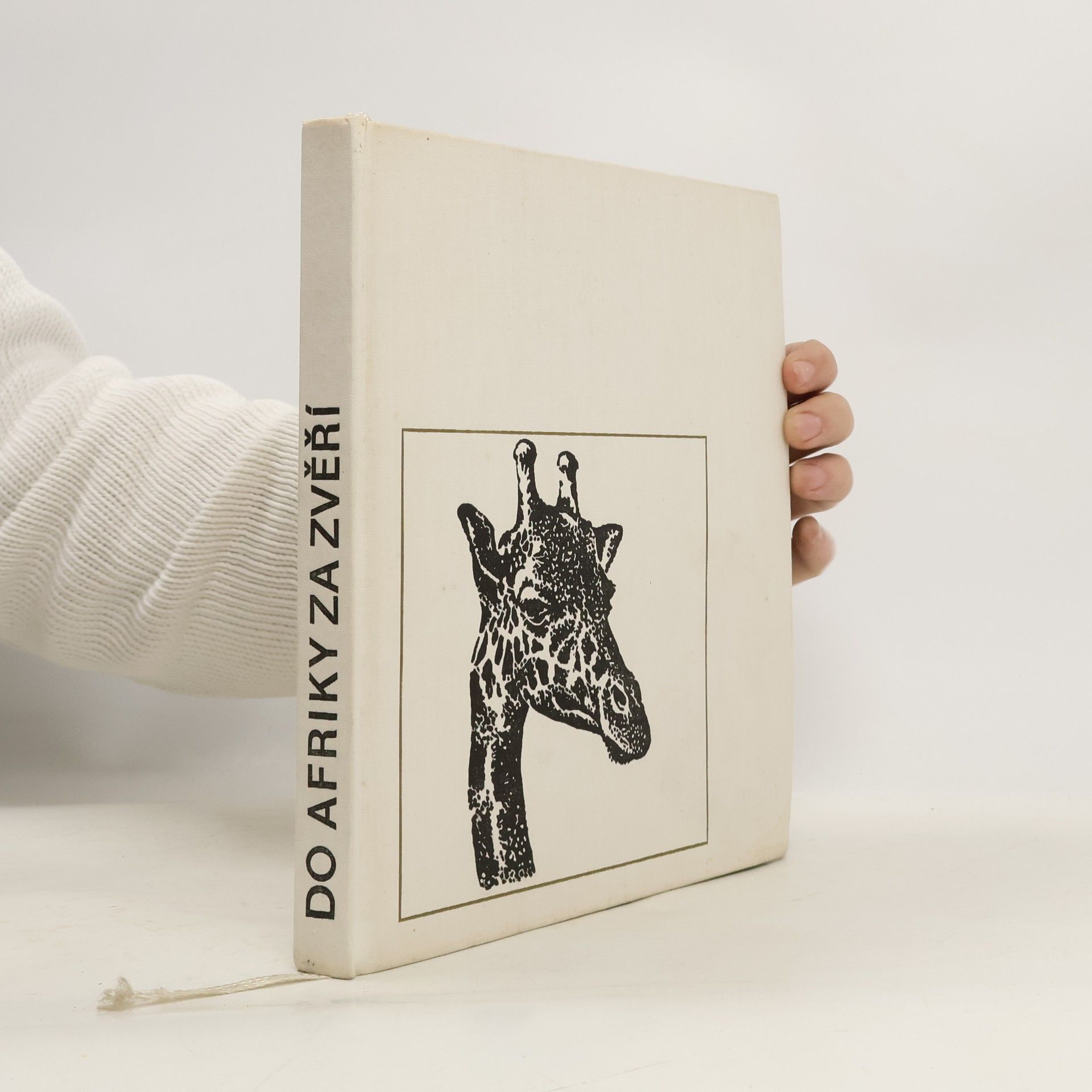 Do Afriky za zvěří