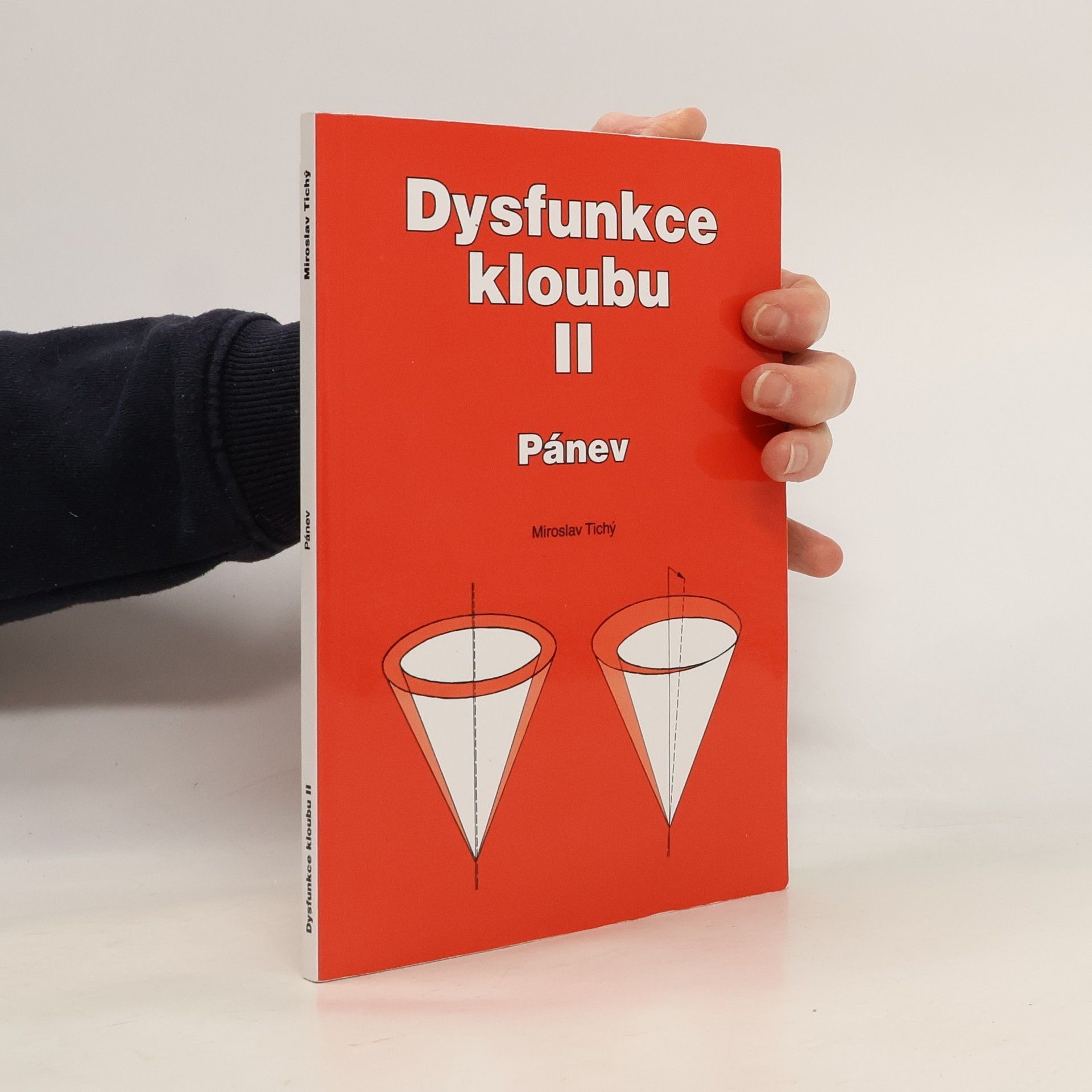 Miroslav Tichý Dysfunkce kloubu. II, Pánev