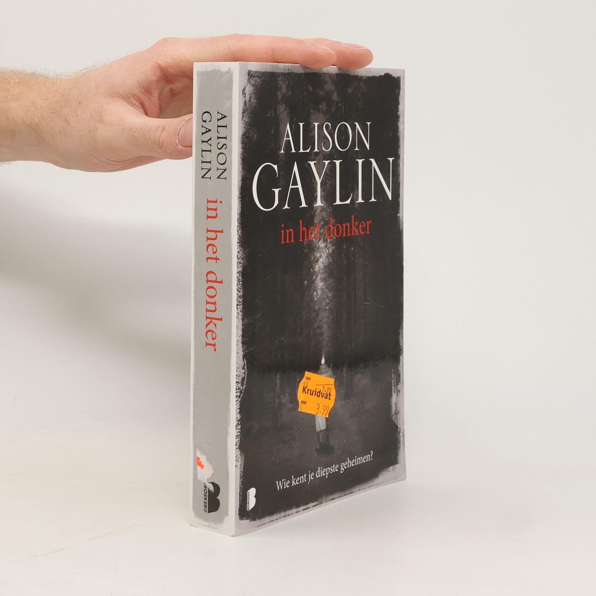 Alison Sloane Gaylin In het donker