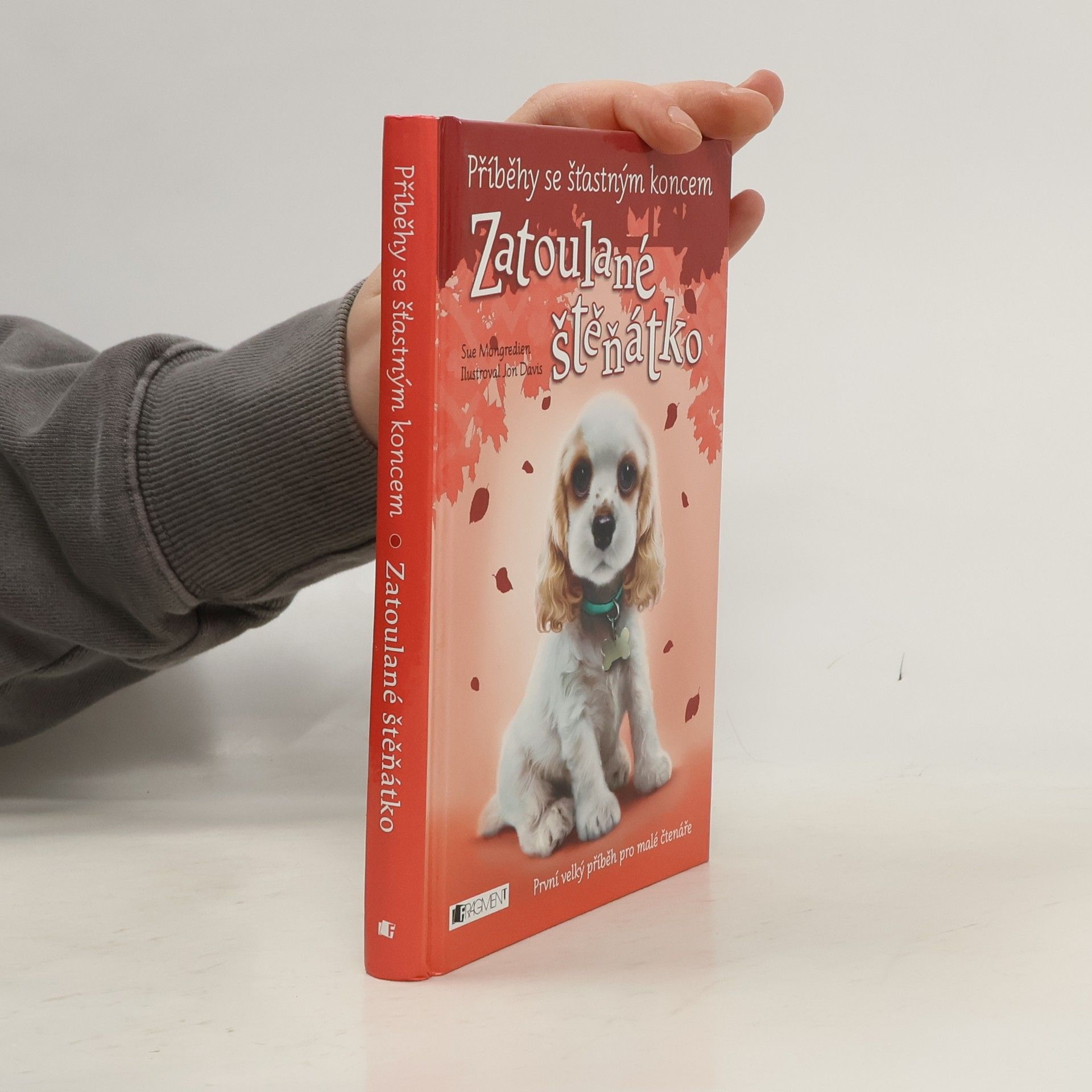 Jon Davis Zatoulané štěňátko