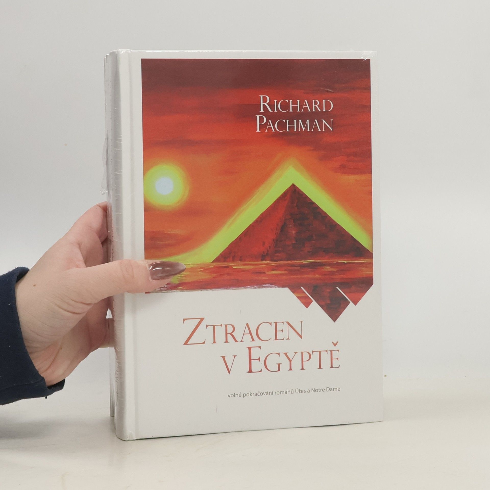 Richard Pachman Ztracen v Egyptě : volné pokračování románů Útes a Notre Dame