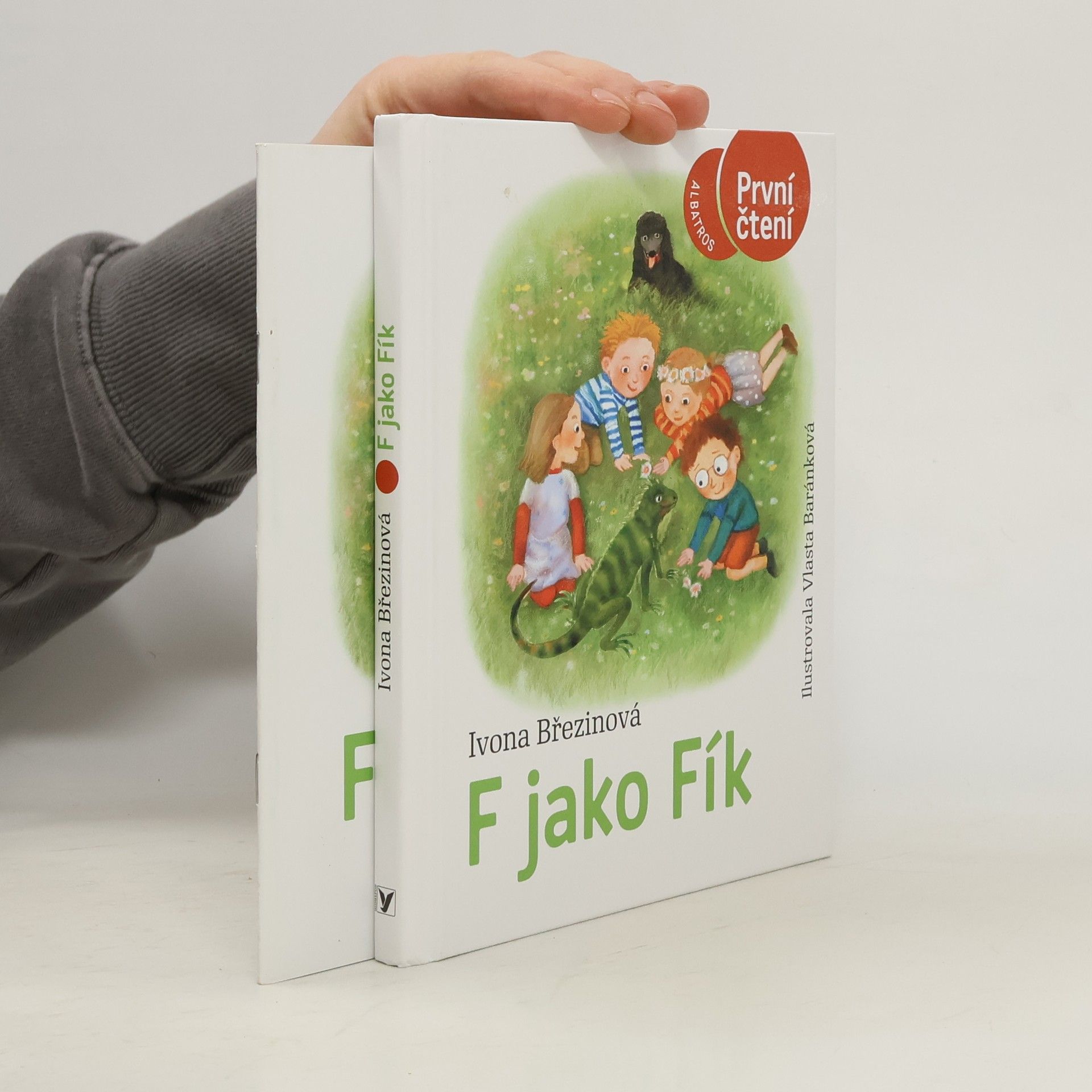Ivona Březinová F jako Fík: kniha a pracovní sešit