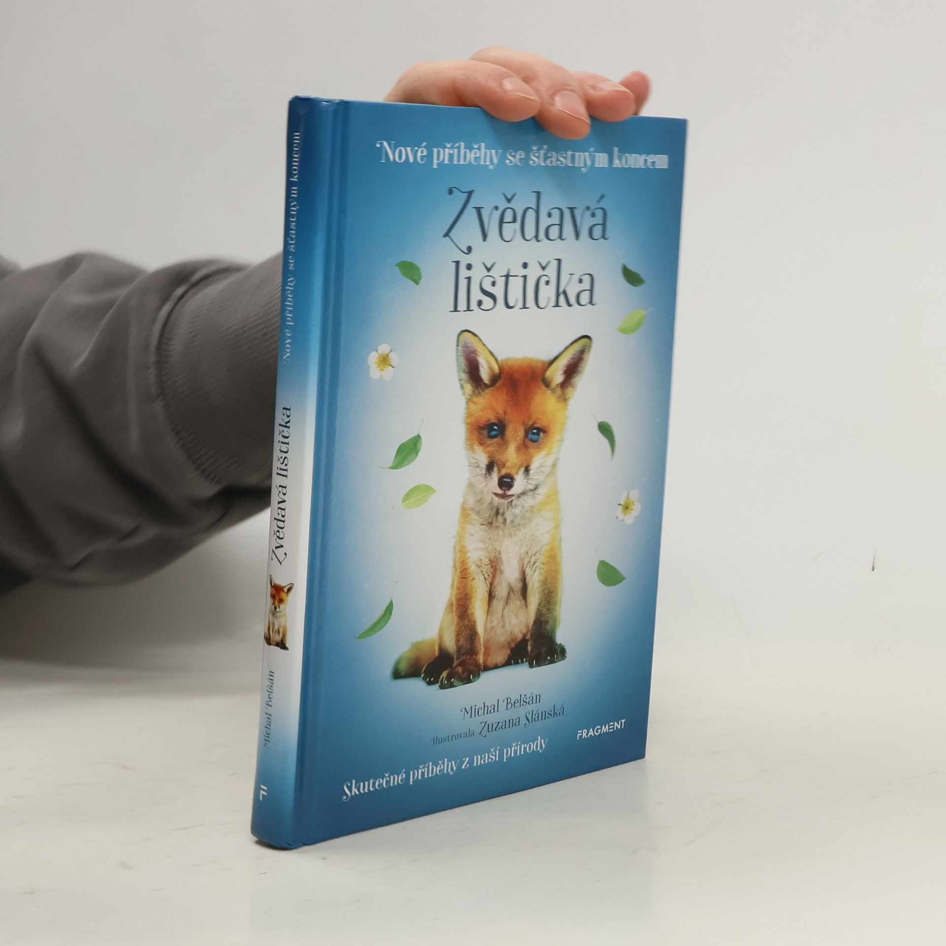 Zvědavá lištička