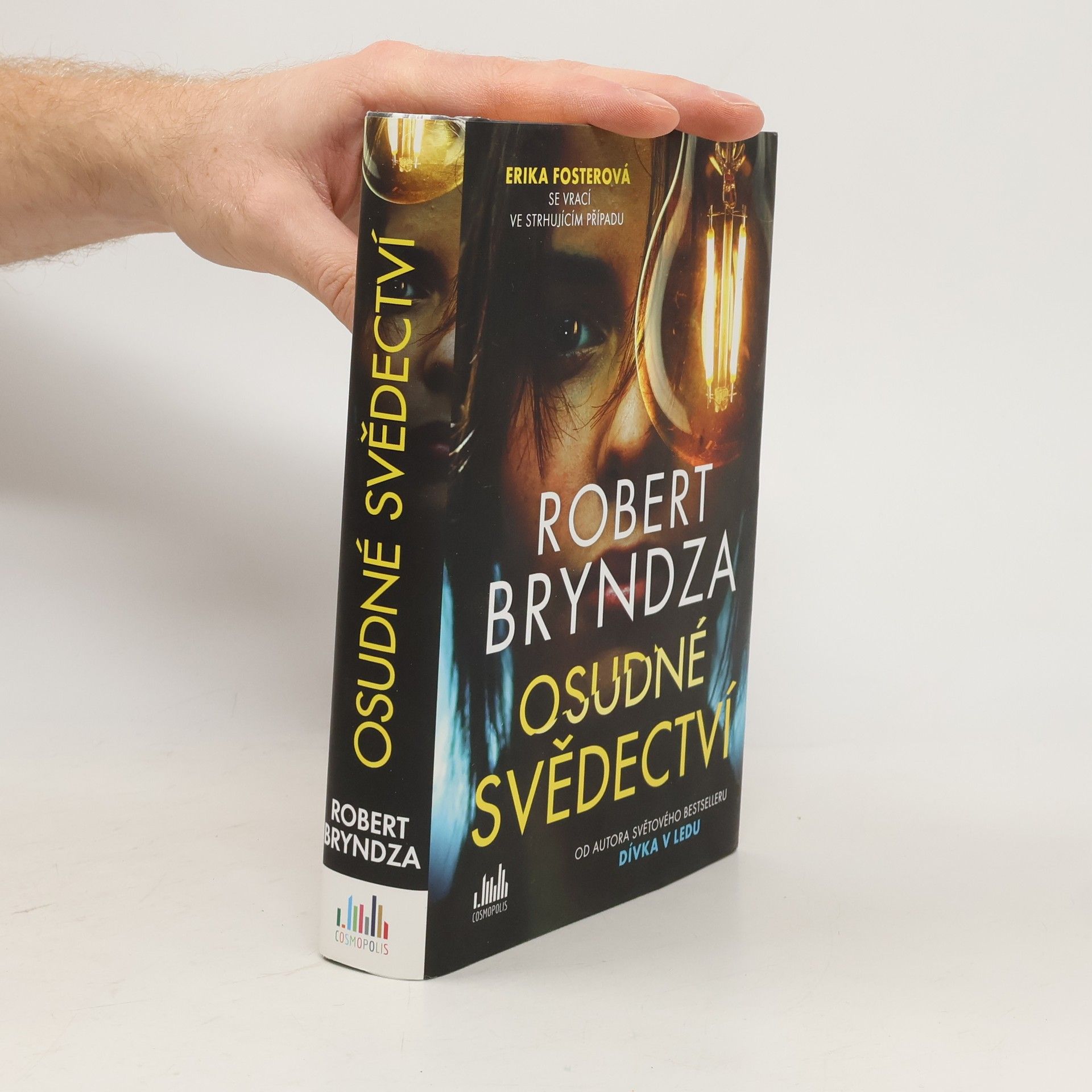 Robert Bryndza Osudné svědectví