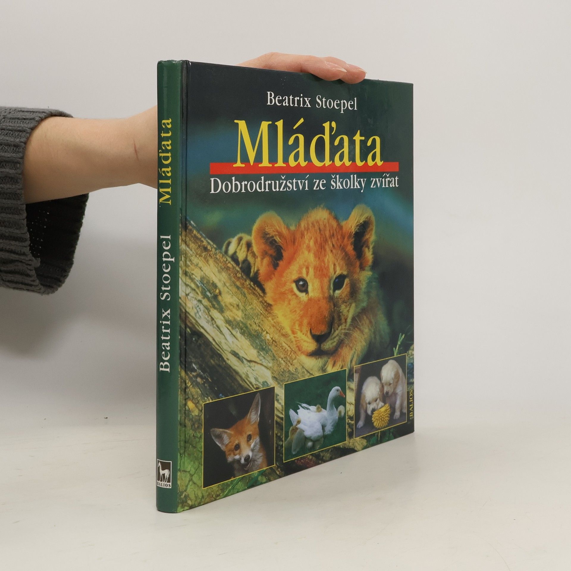 Beatrix Stoepel Mláďata. Dobrodružství ze školky zvířat