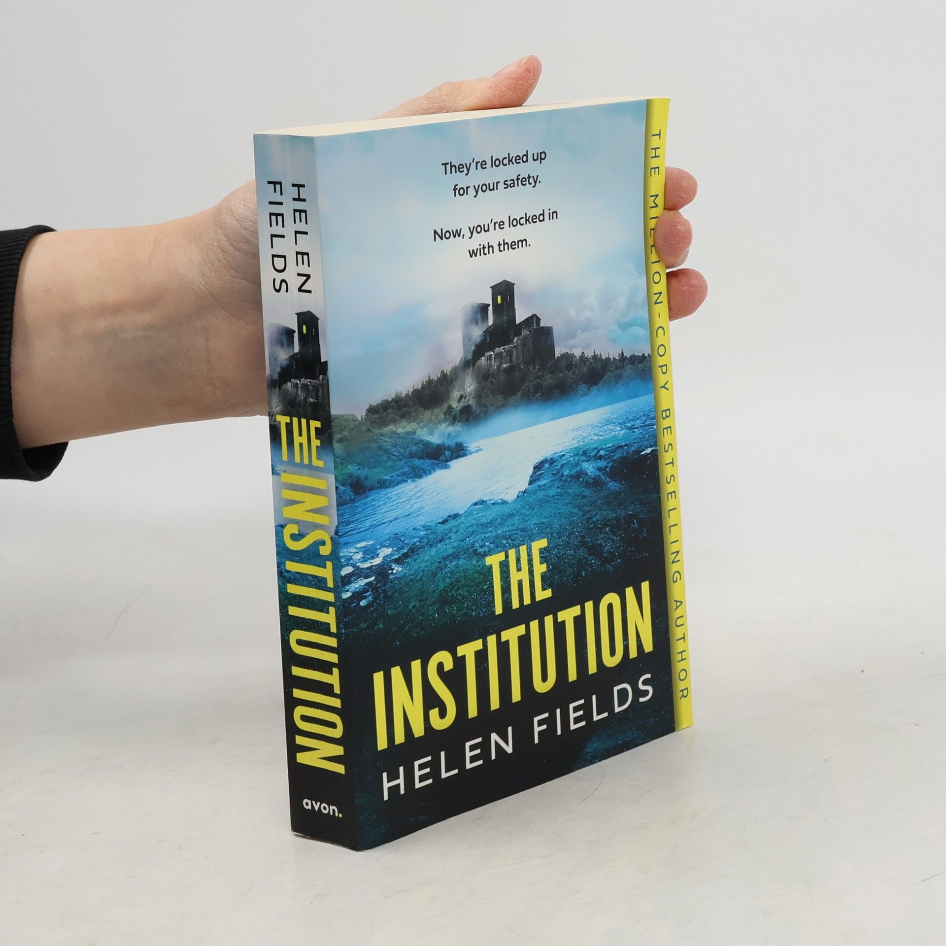 Helen Fields The Institution