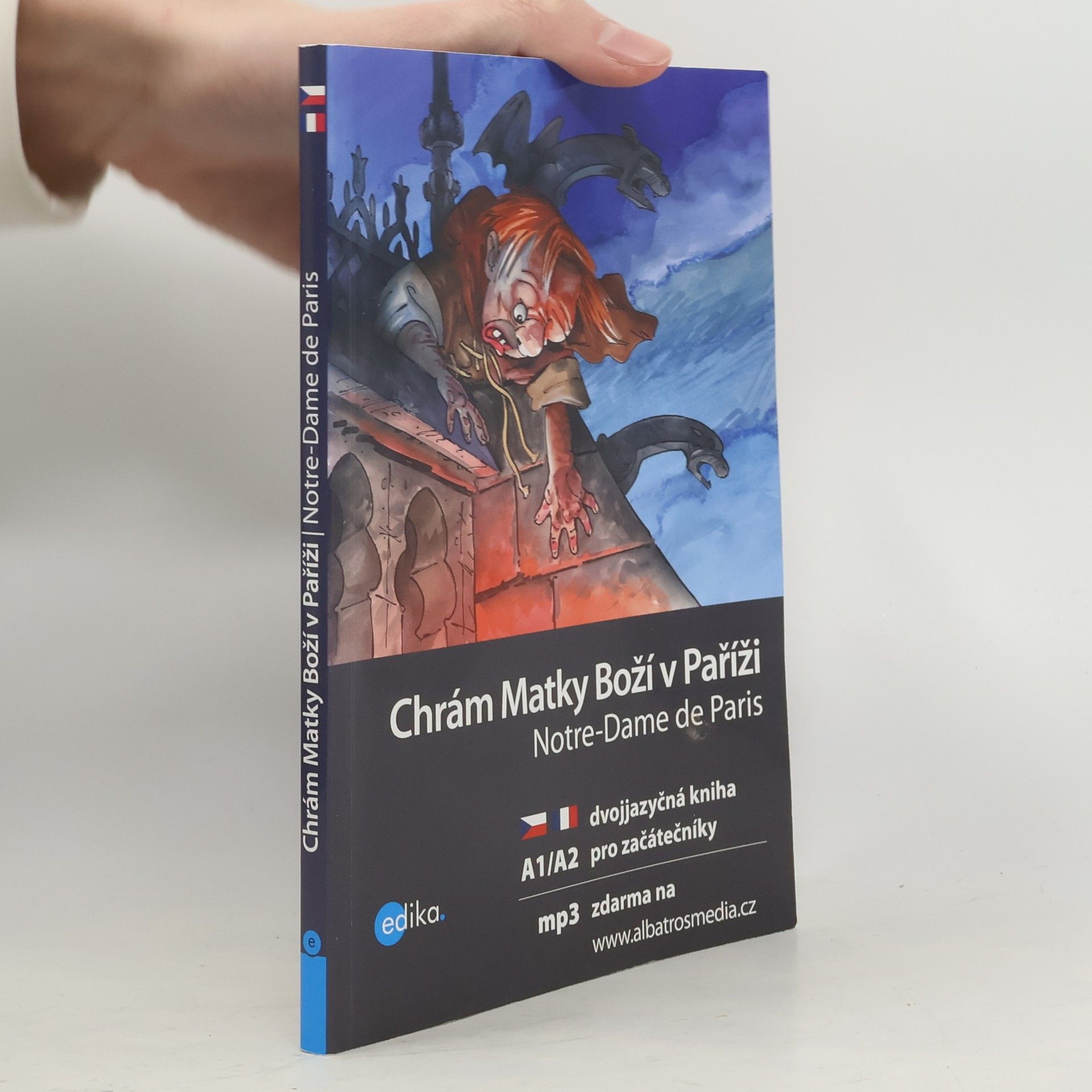 Lucie Konvičková Chrám Matky Boží v Paříži. Notre-Dame de Paris