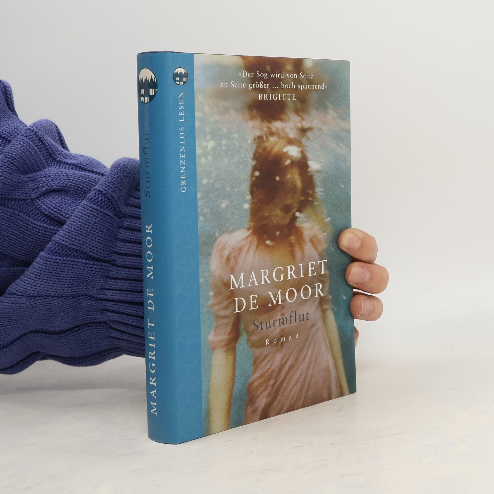 Margriet de Moor Sturmflut