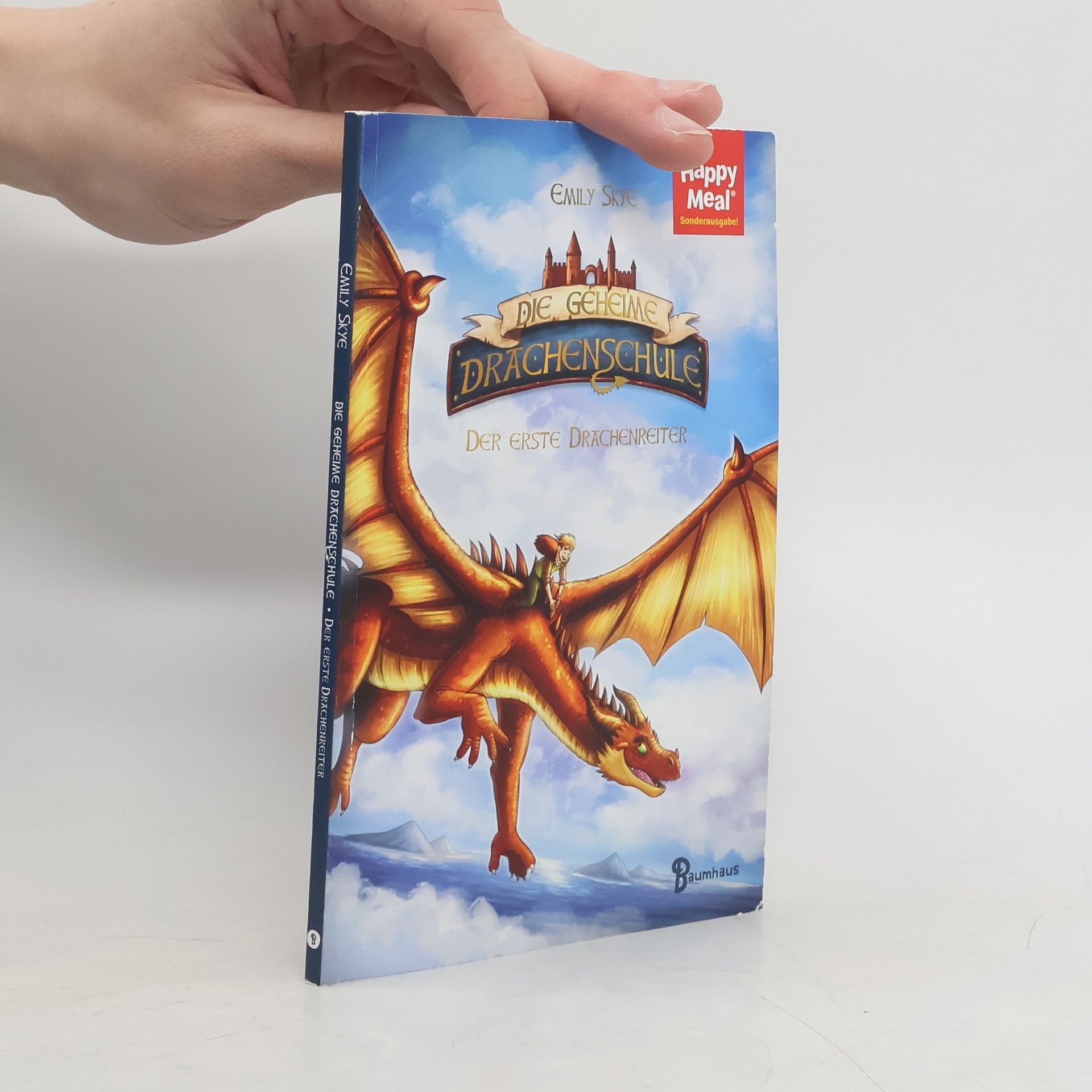 Emily Skye Die geheime Drachenschule. Der erste Drachenreiter