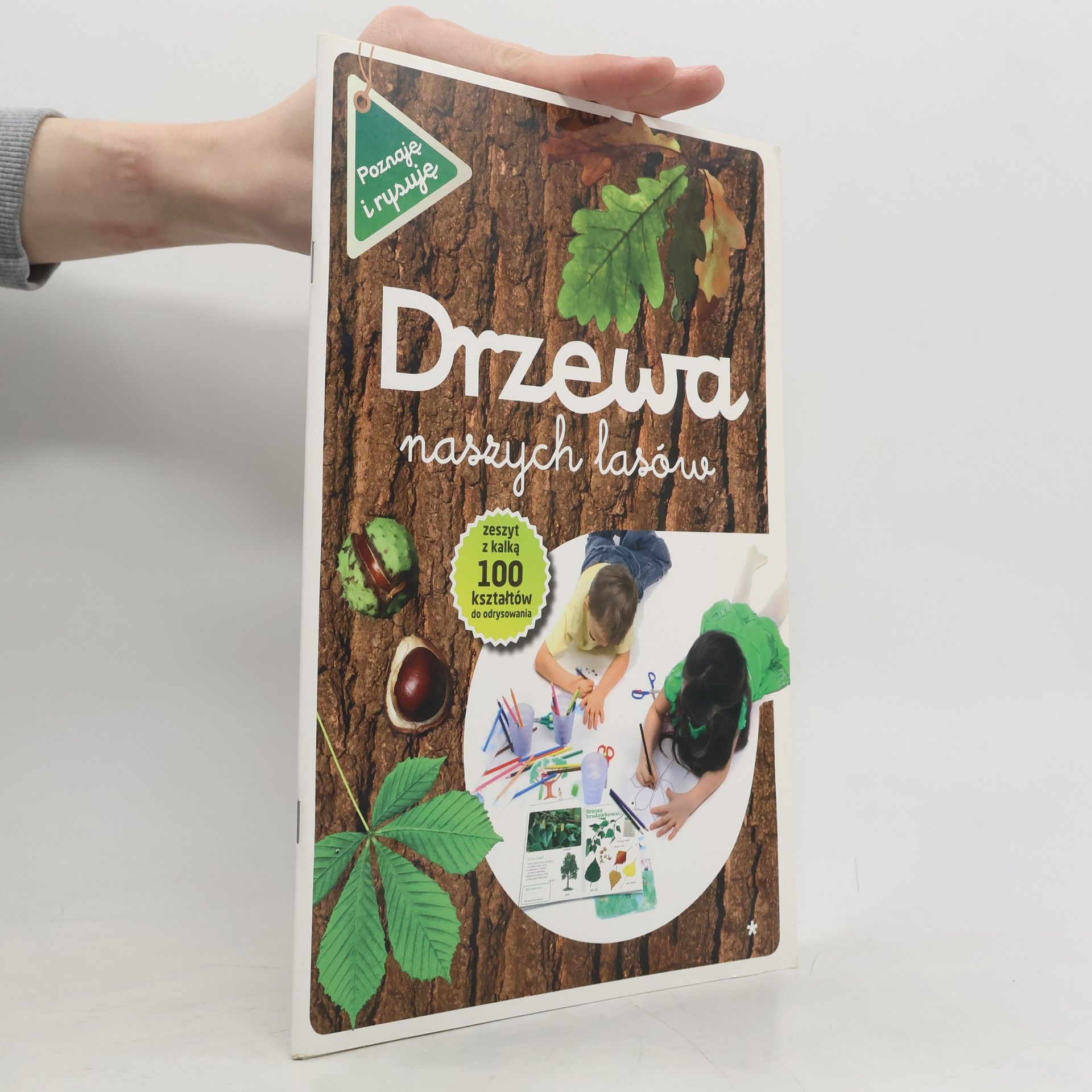 Collectif d'auteurs Drzewa naszych lasów