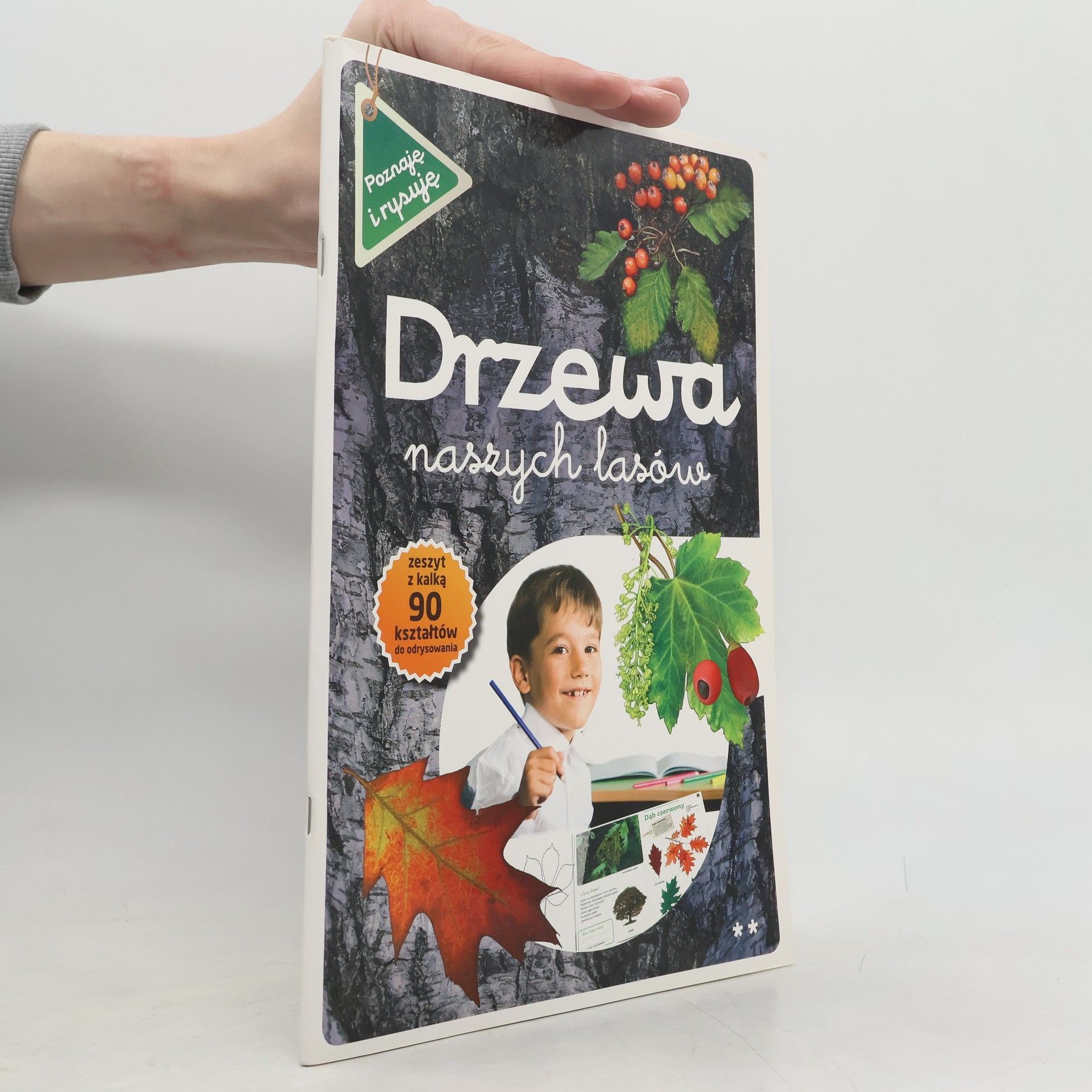 Collectif d'auteurs Drzewa naszych lasow czesc 2 Poznaje i rysuje