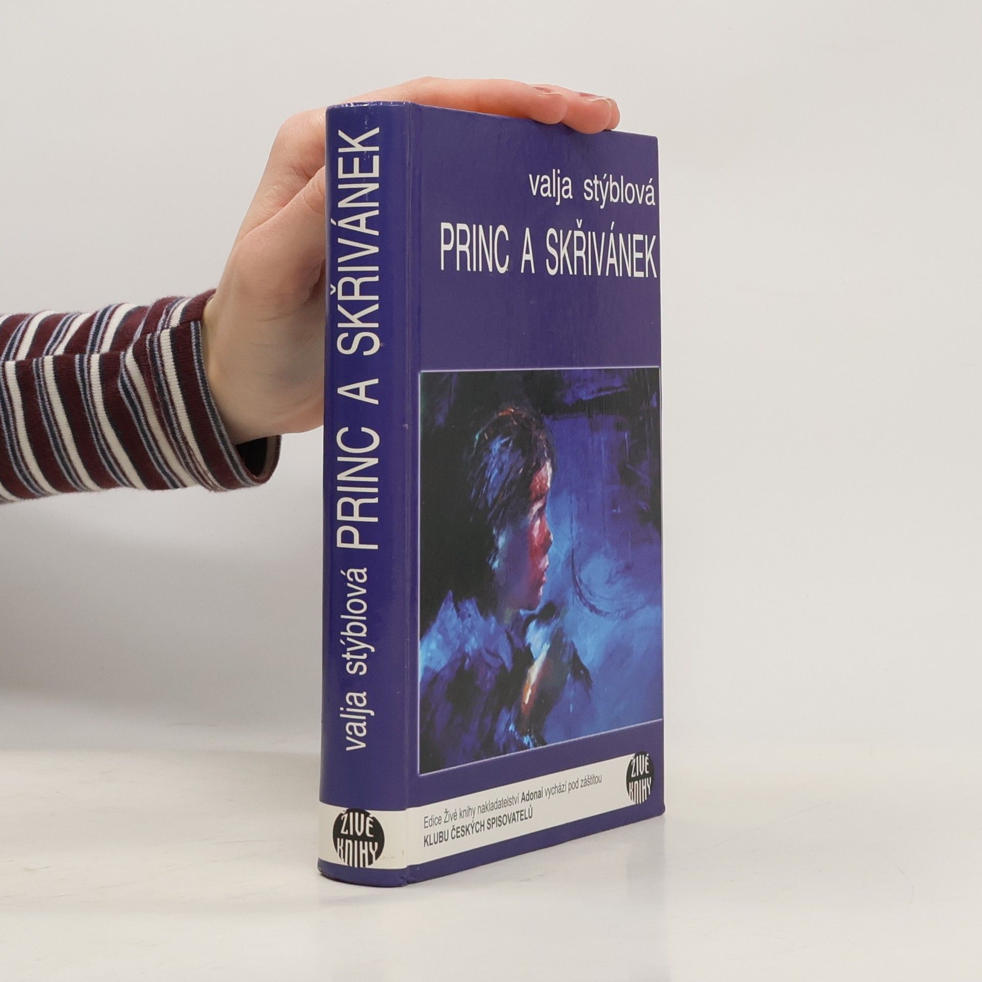 Valja Stýblová Princ a Skřivánek