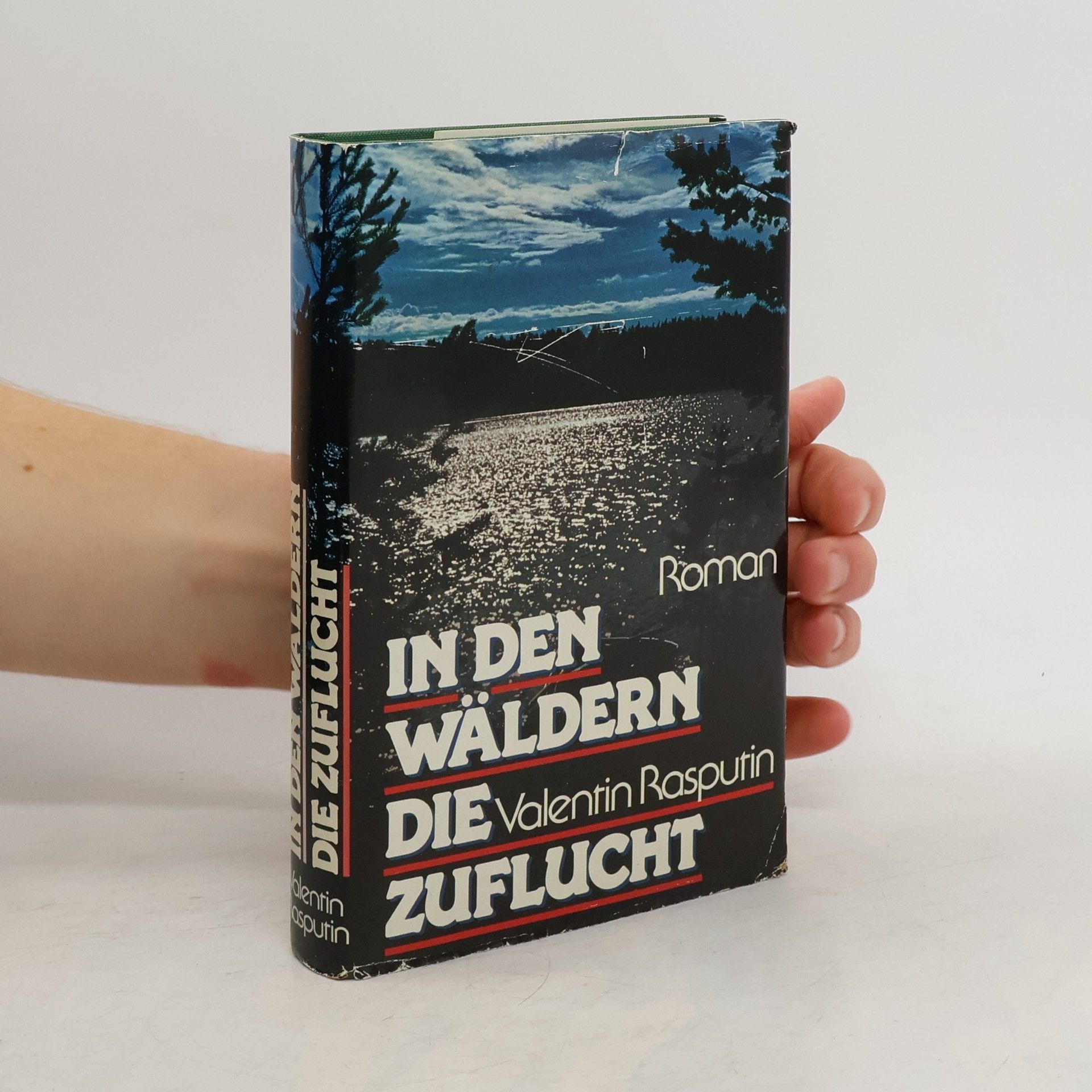 Valentin Rasputin In den Wäldern die Zuflucht