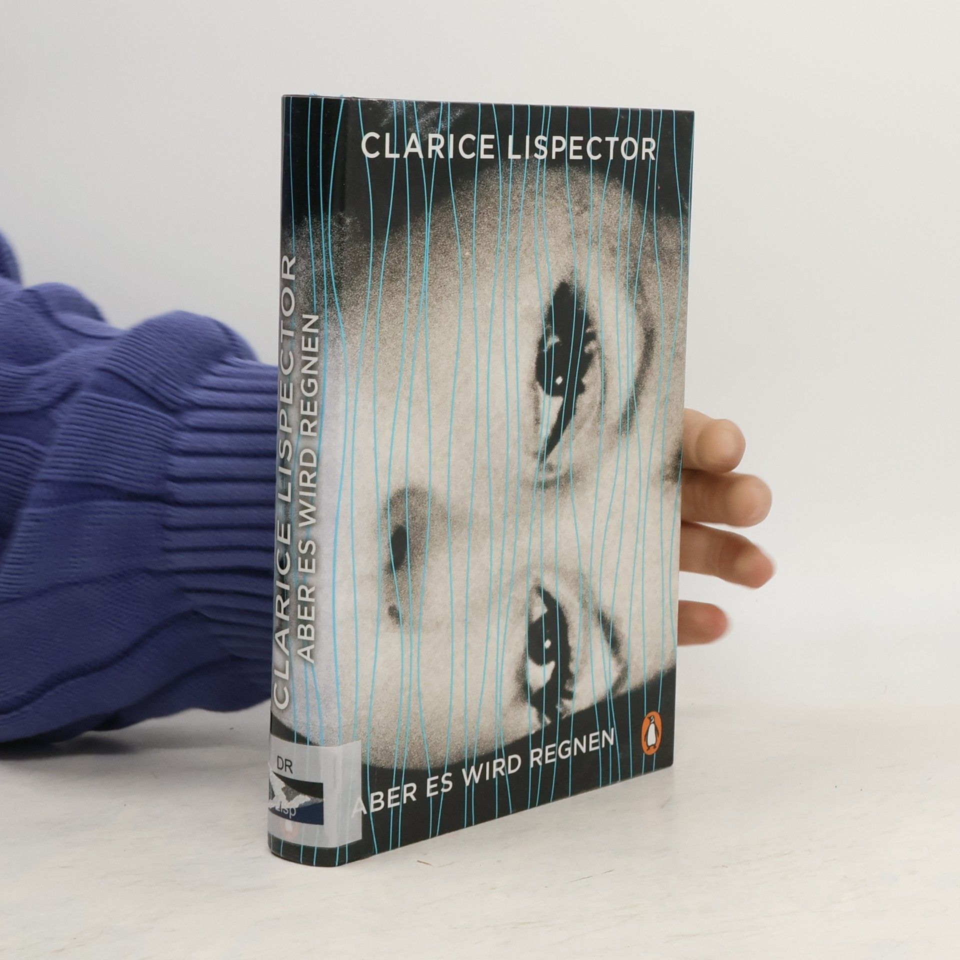 Clarice Lispector Aber es wird regnen