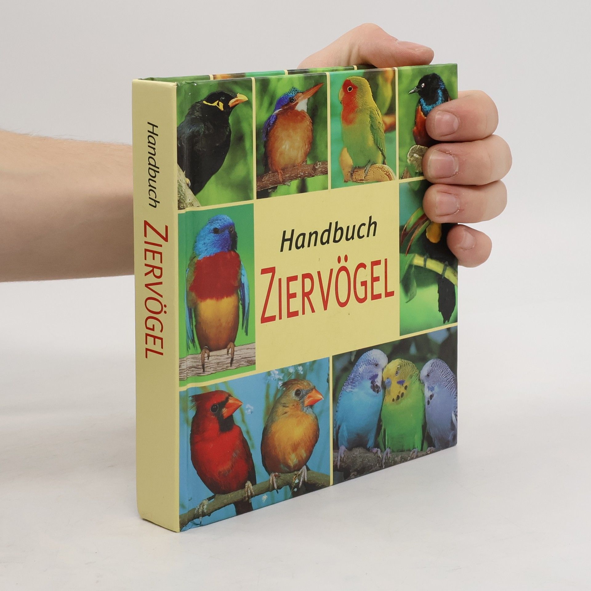 Kolektiv autorů Handbuch Ziervögel