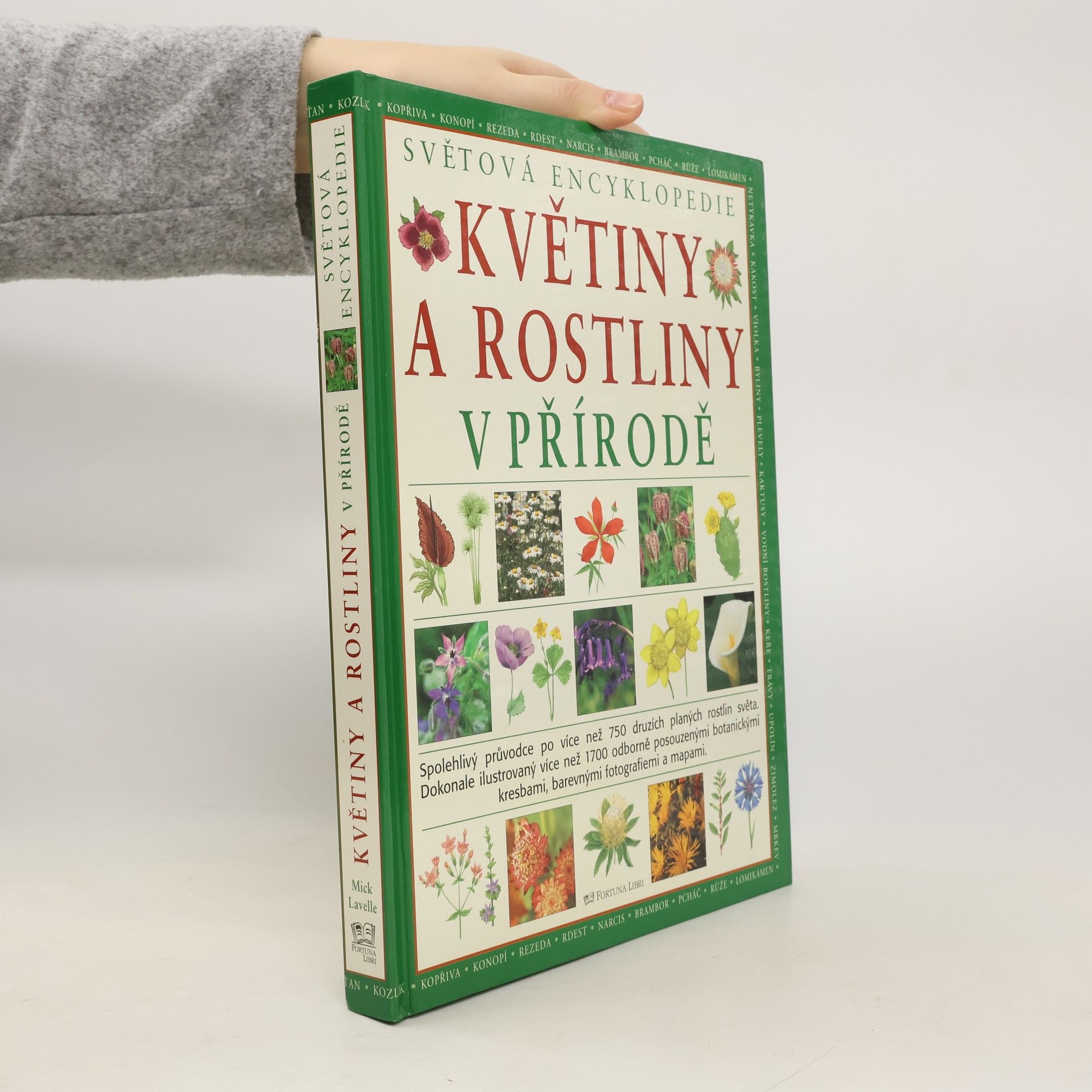 Mick Lavelle Květiny a rostliny v přírodě