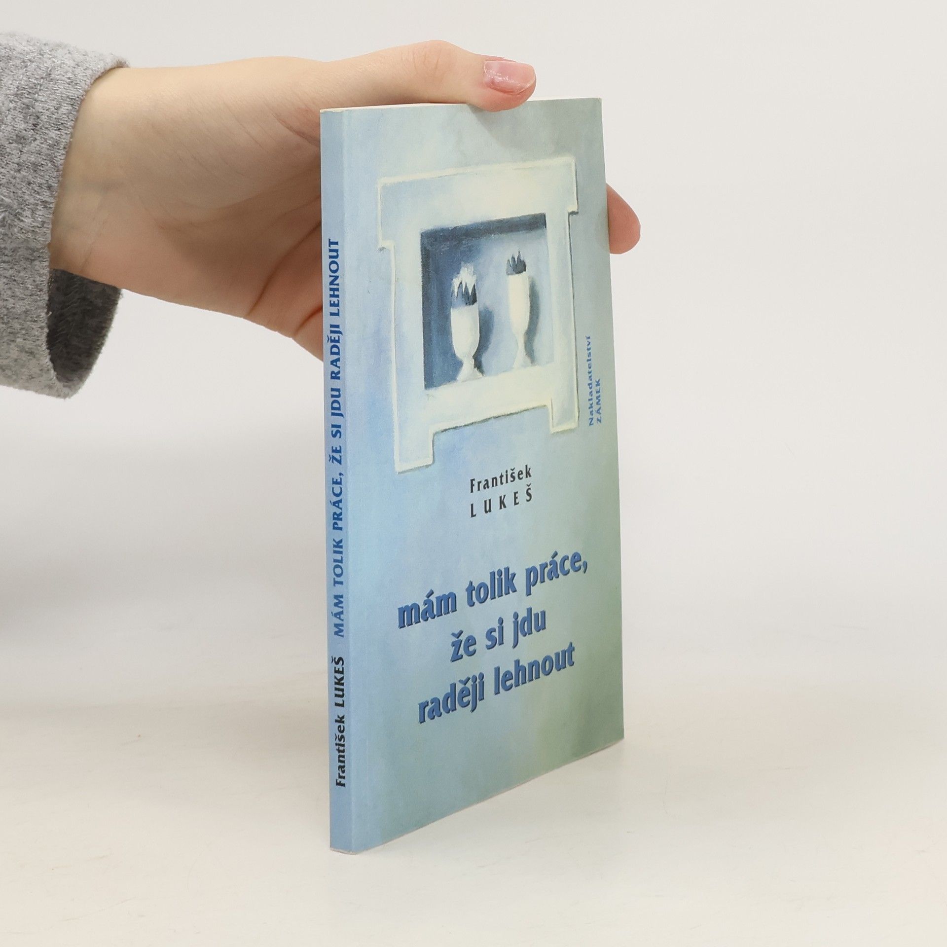 Mám tolik práce, že si jdu raději lehnout