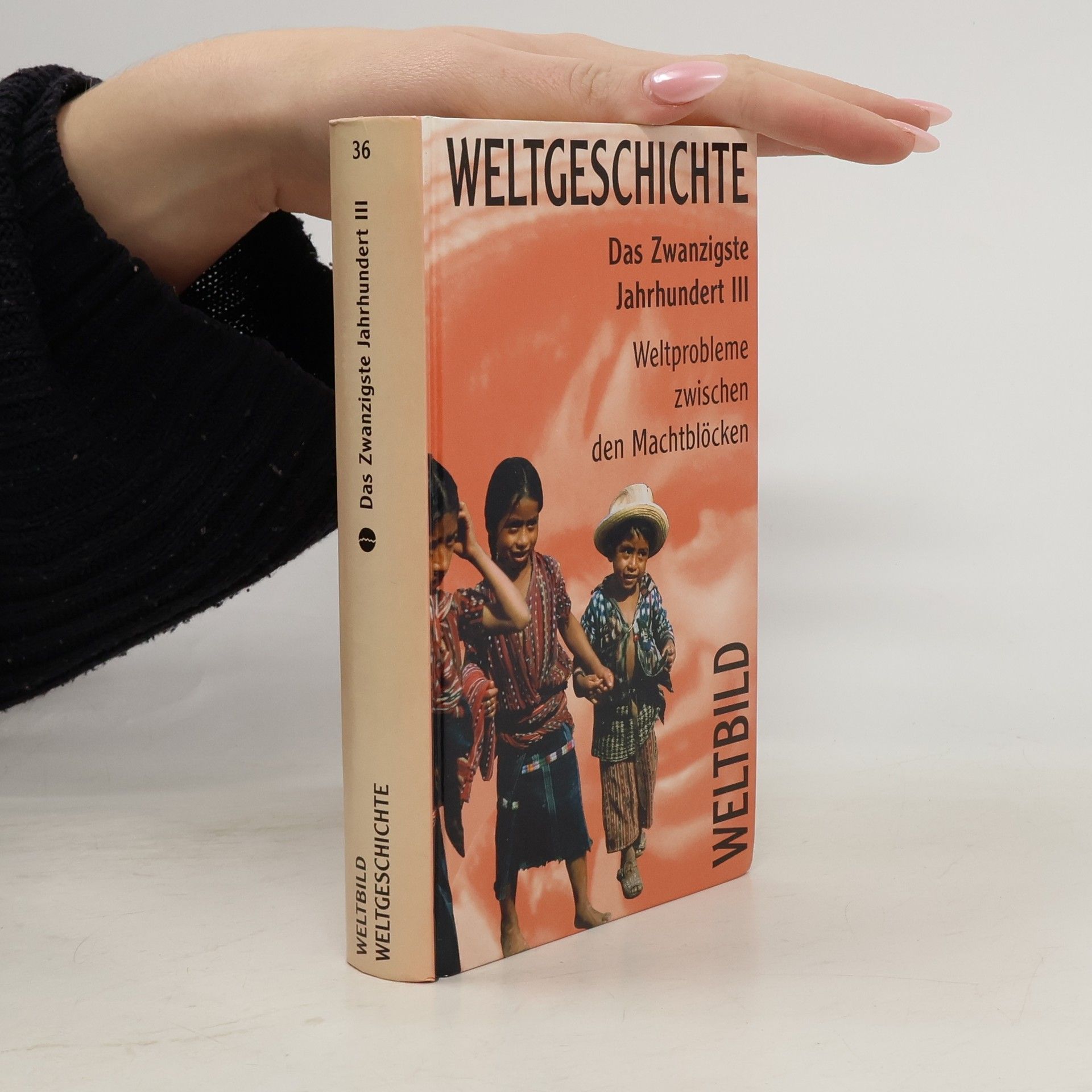 Collectif d'auteurs Weltgeschichte 36. Das Zwanzigste Jahrhundert III