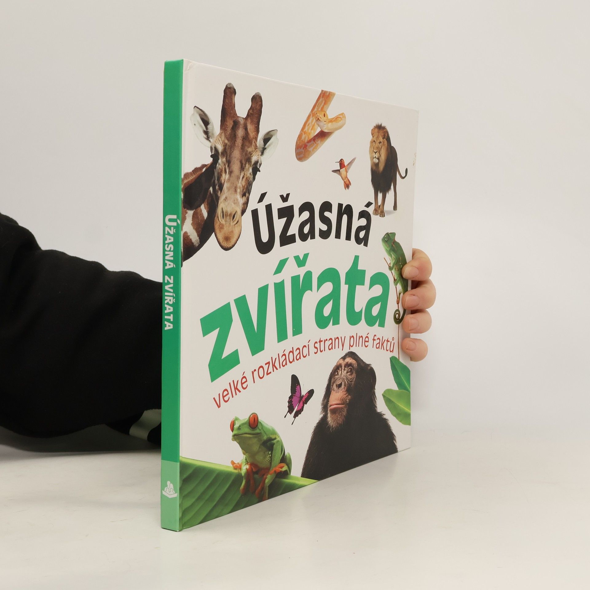 Autorenkollektiv Úžasná zvířata - velké rozkládací strany plné faktů
