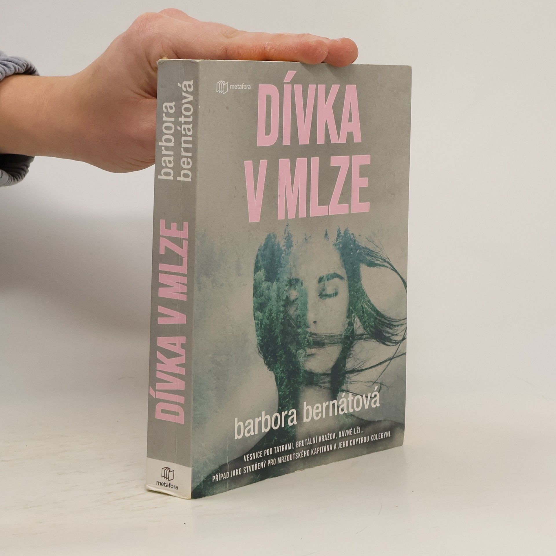 Dívka v mlze