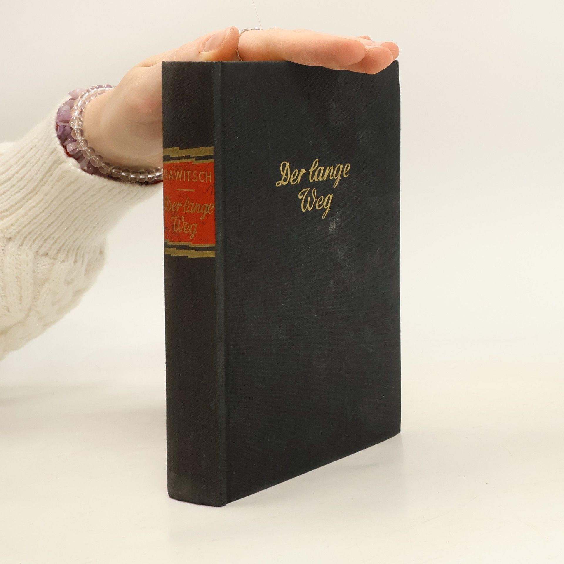 Slavomir Rawitsch Der lange Weg