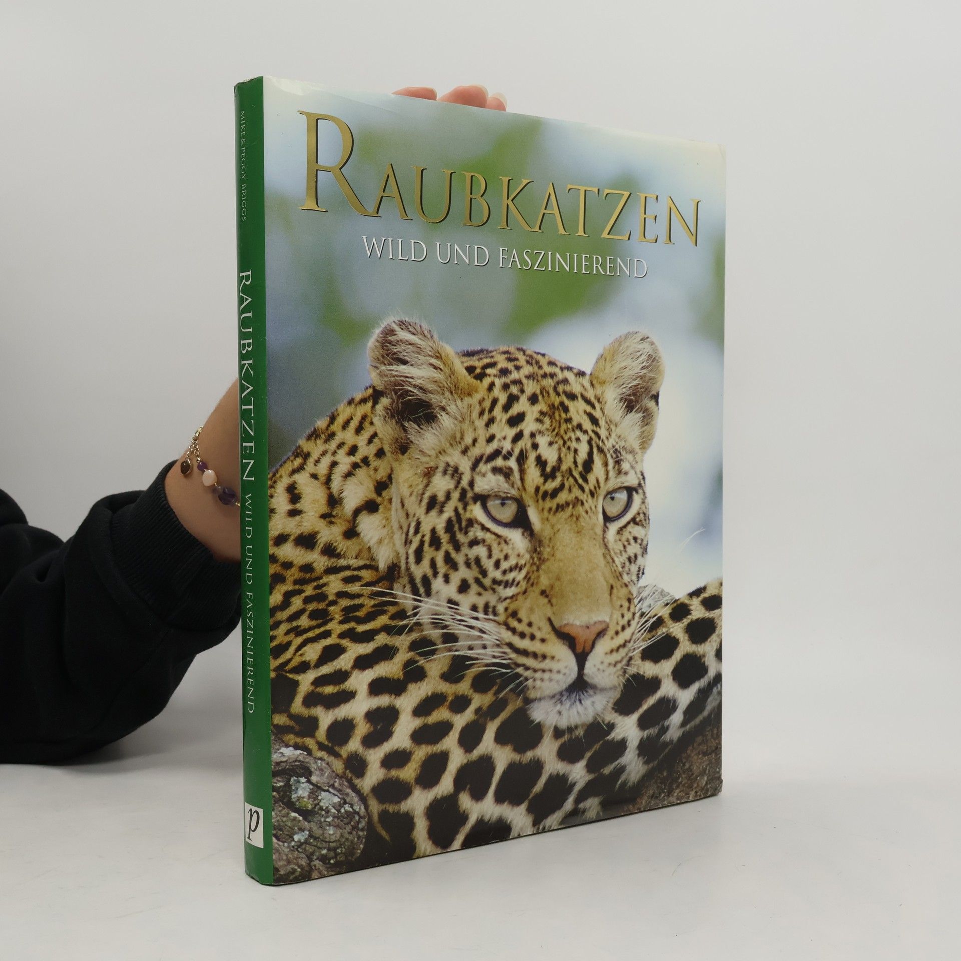 Raubkatzen wild und faszinierend