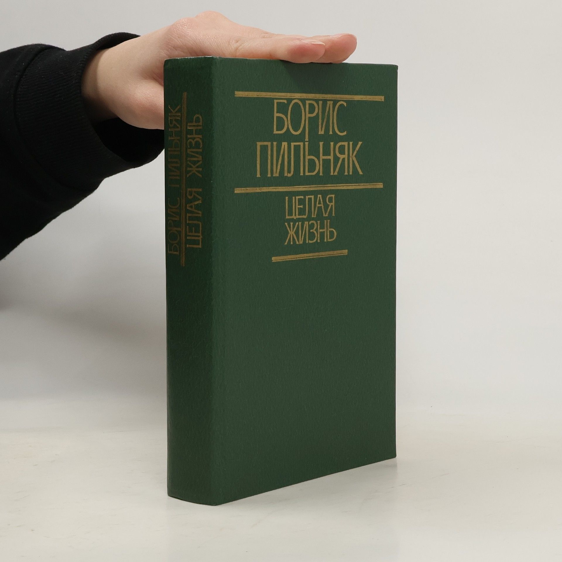 Борис Андреевич Пильняк Целая жизнь