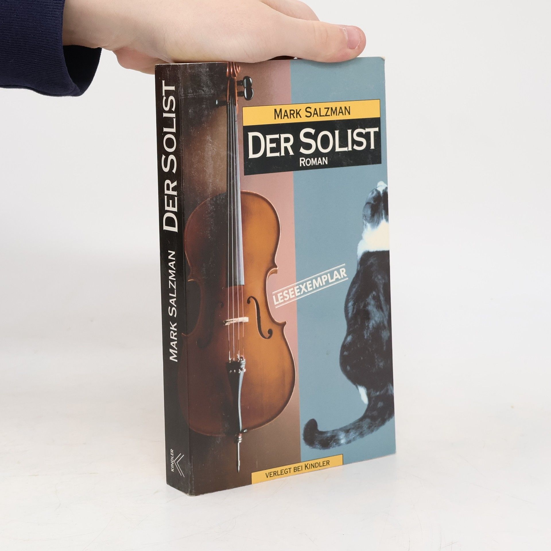 Mark Salzman Der Solist