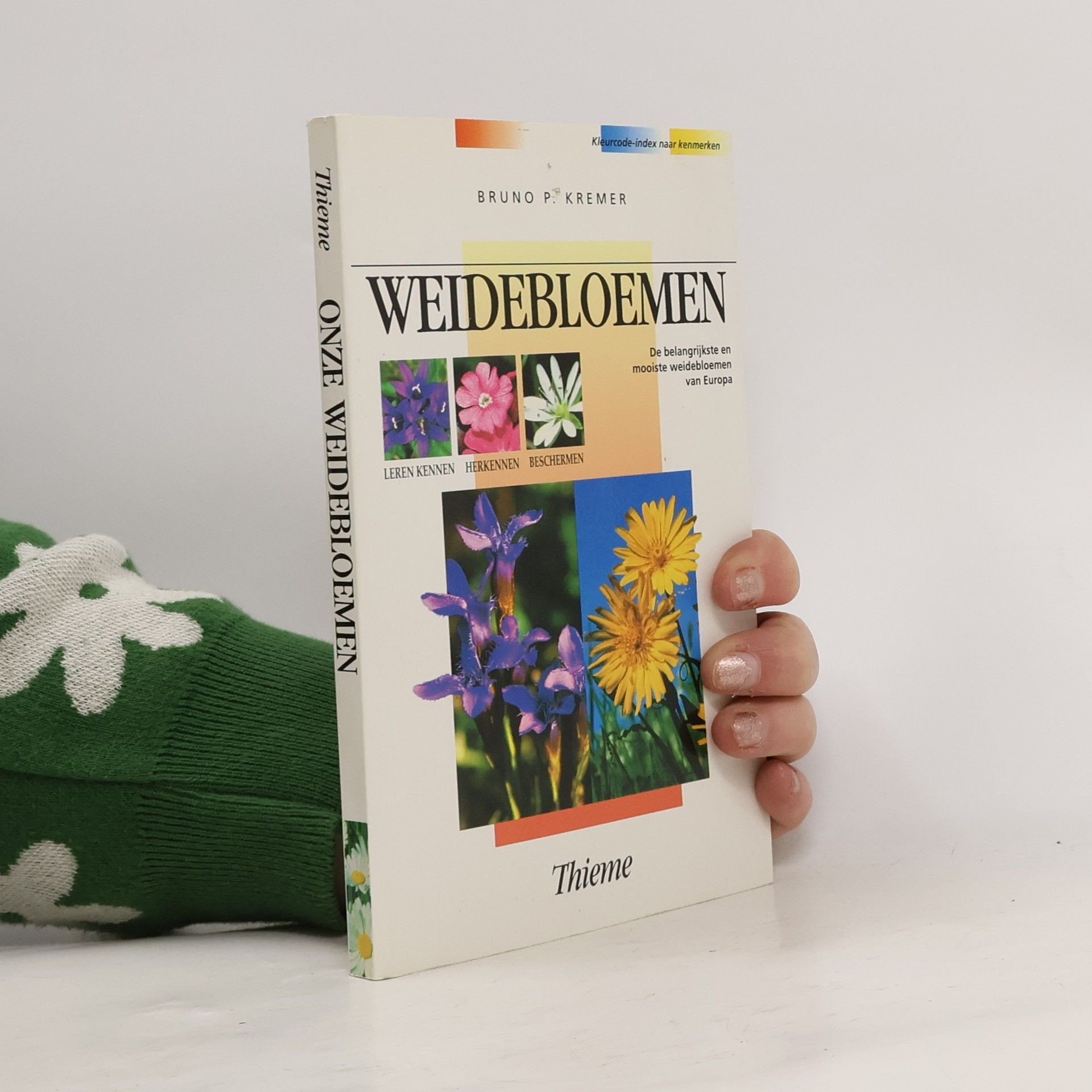 Bruno Kremer Weidebloemen