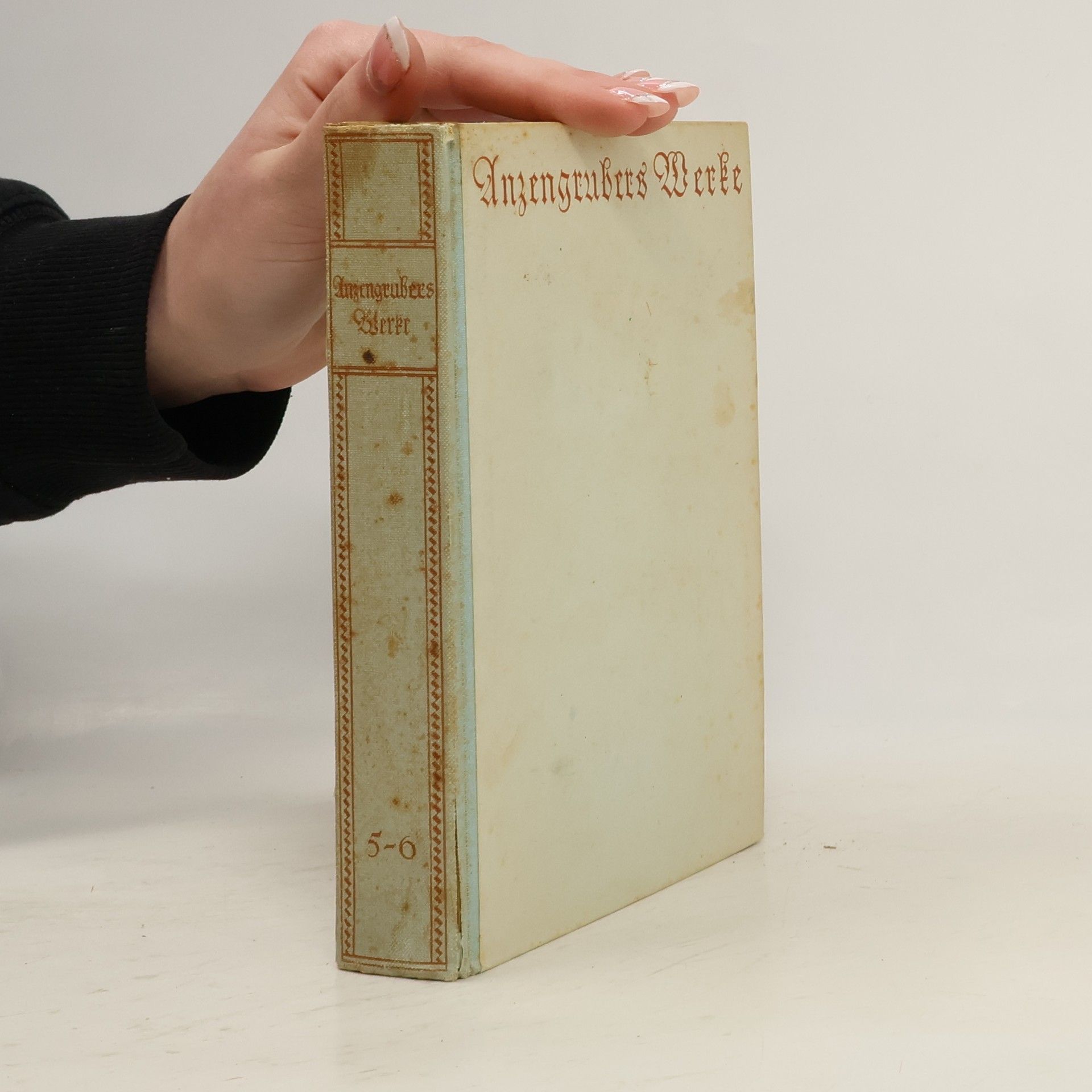 Anzengrubers Werke 5
