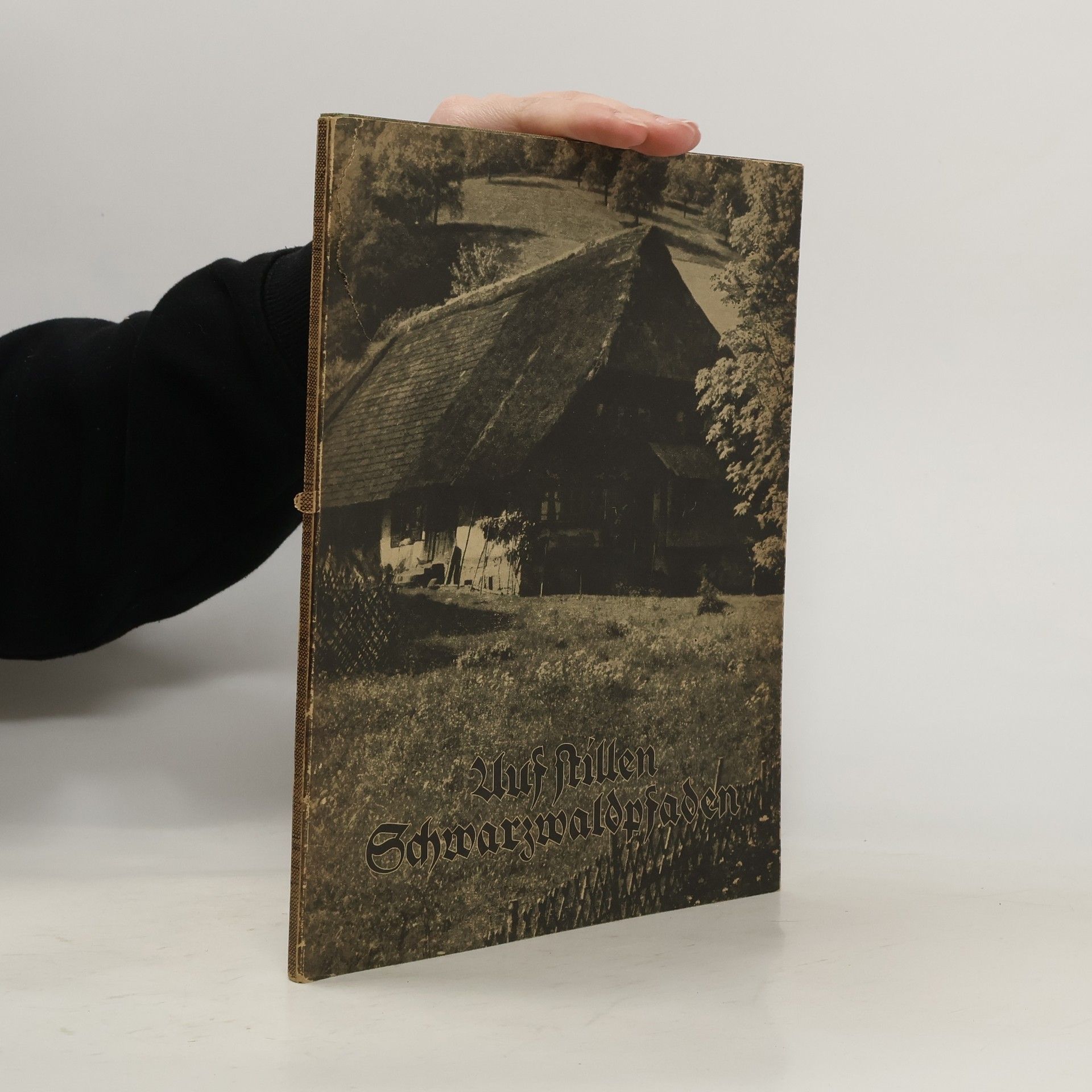 Autorenkollektiv Auf stillen Schwarzwaldpfaden