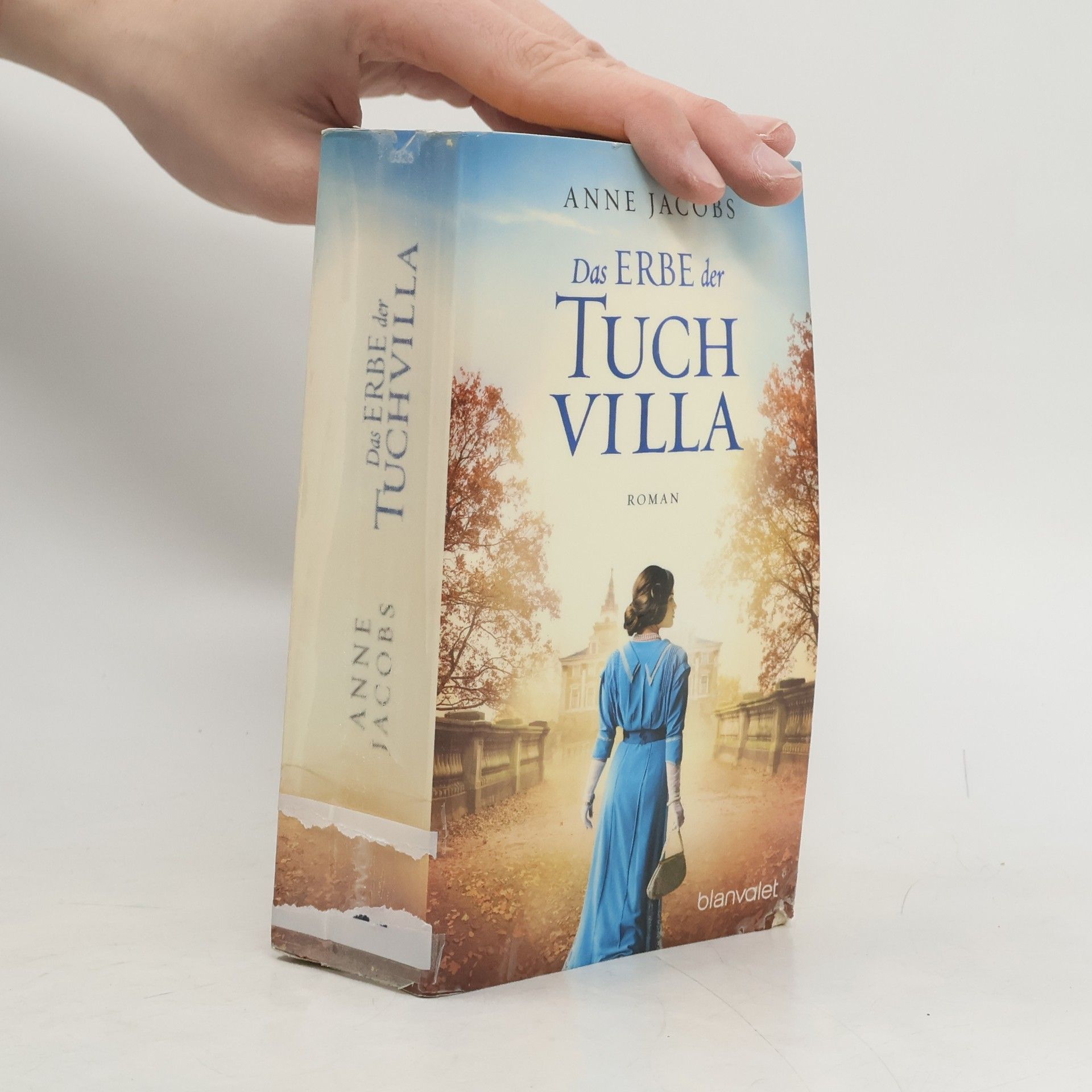 Anne Jacobs Das Erbe der Tuchvilla