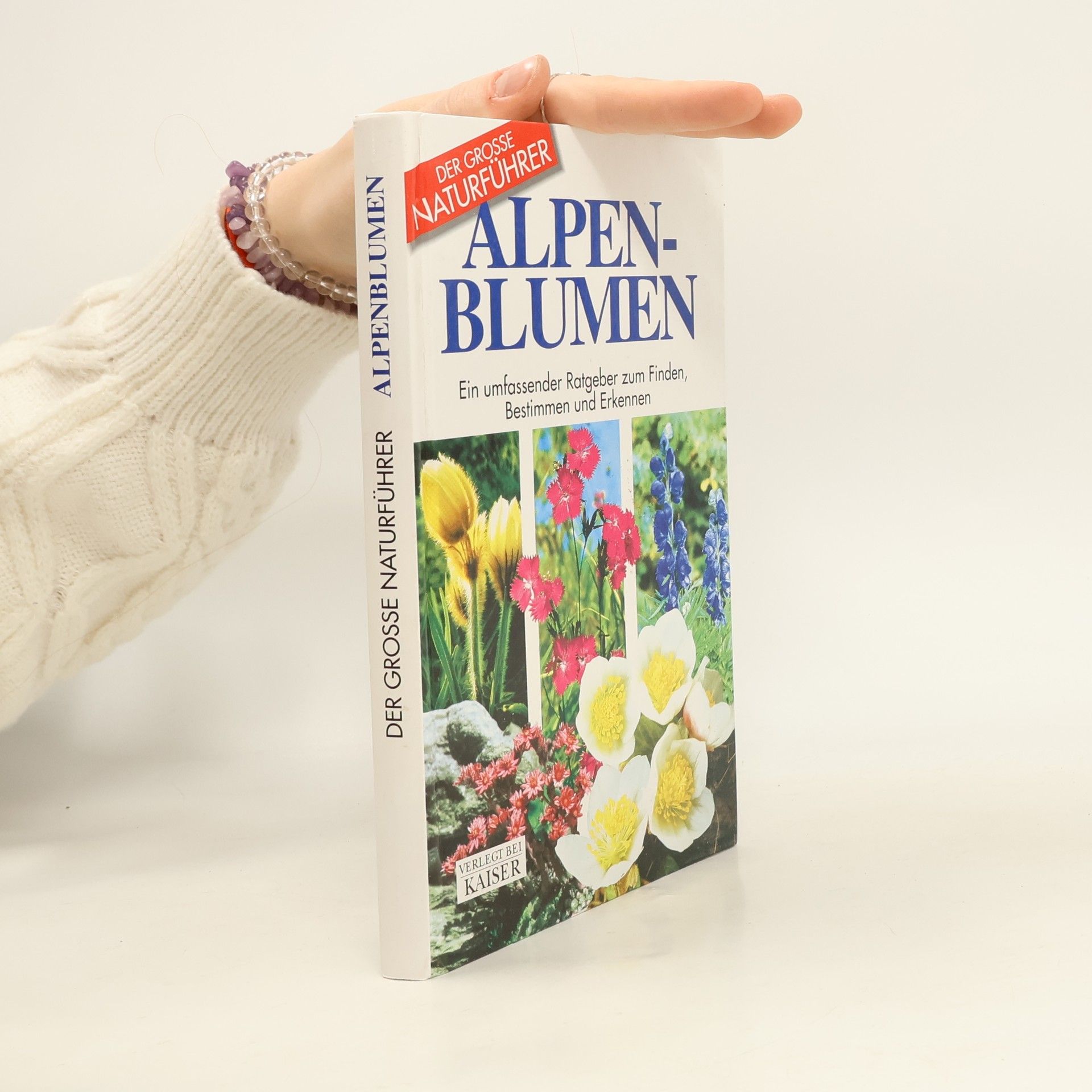 Maria Teresa Della Beffa Alpenblumen