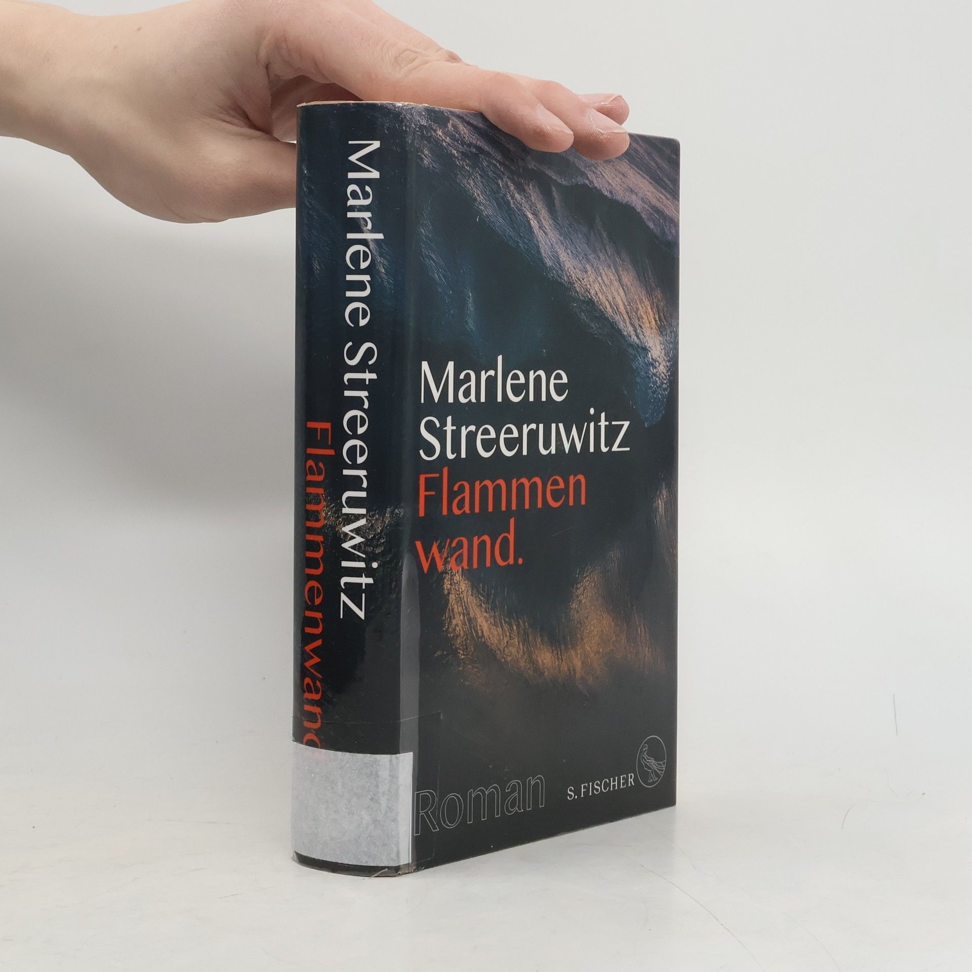 Marlene Streeruwitz Flammenwand