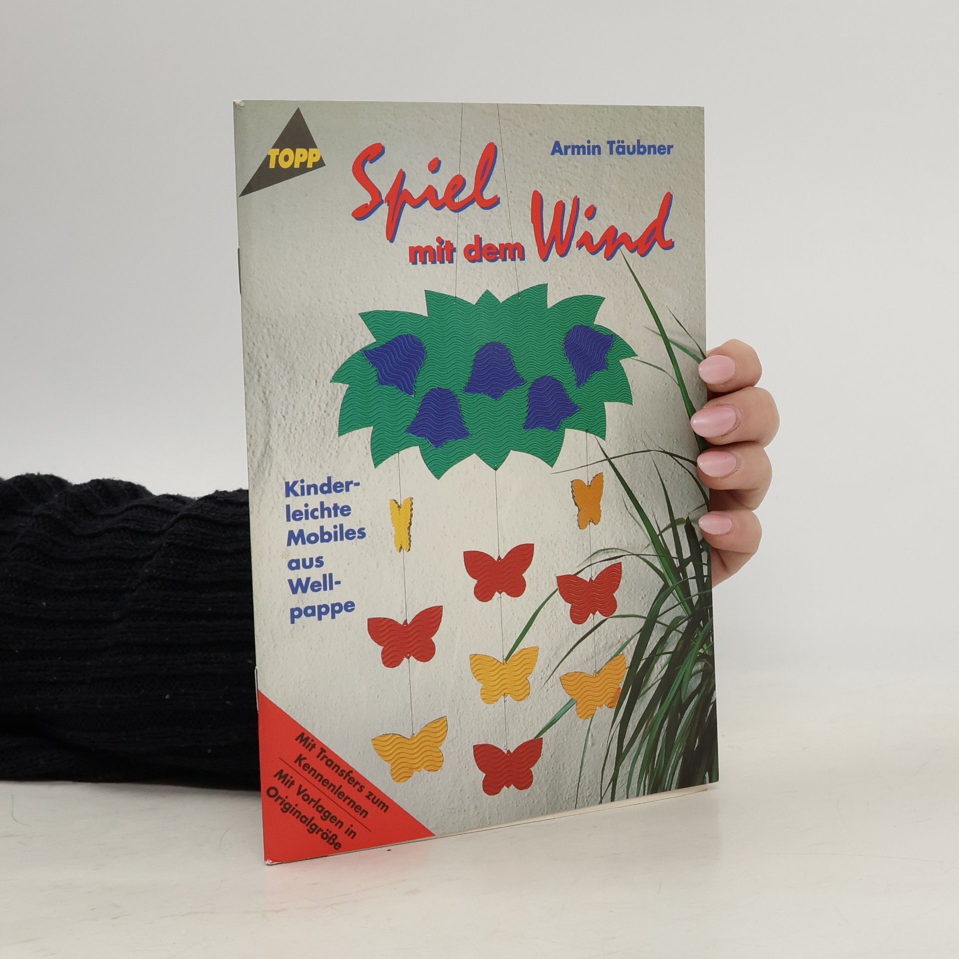 AA.VV. Spiel mit dem Wind