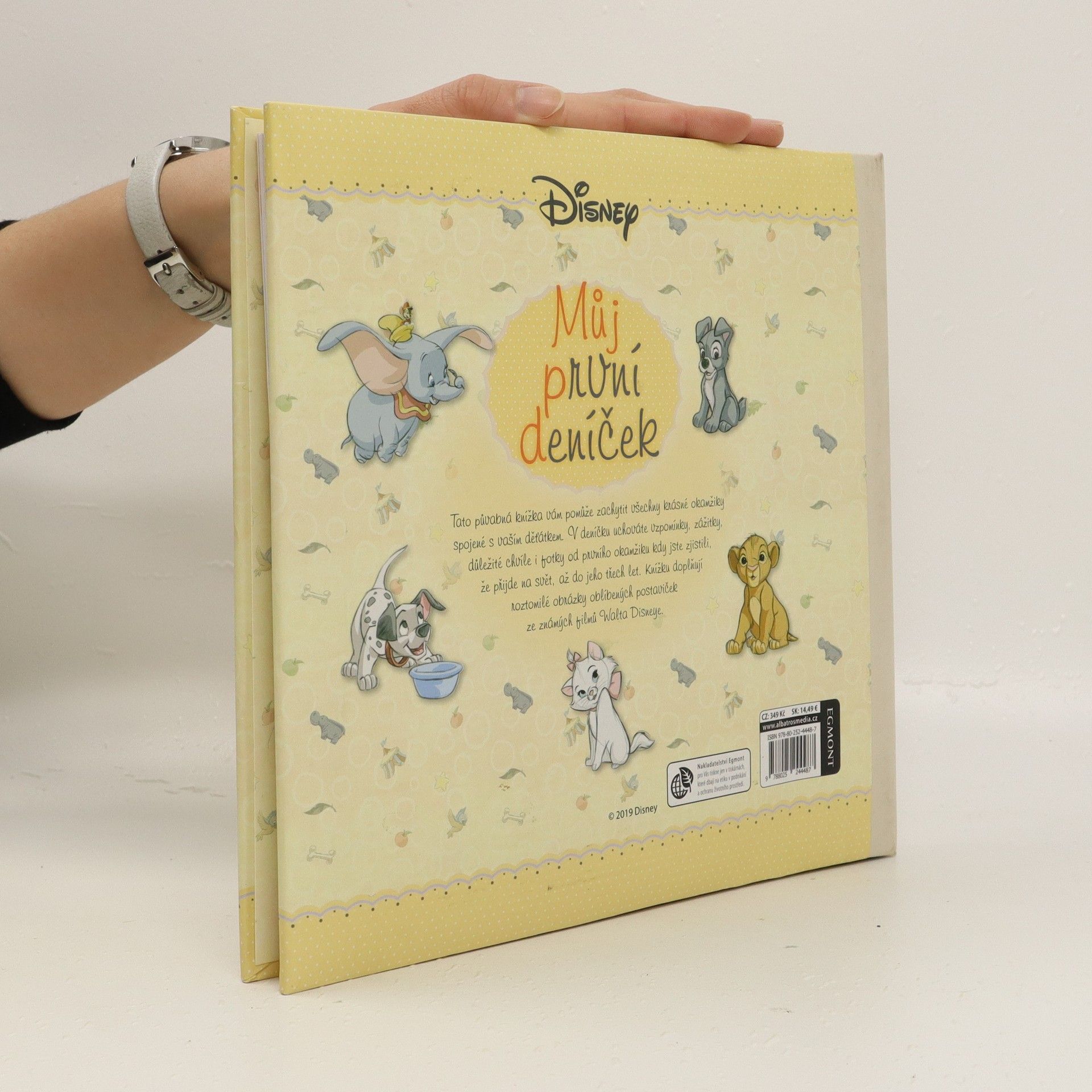 Various authors Disney - Můj první deníček