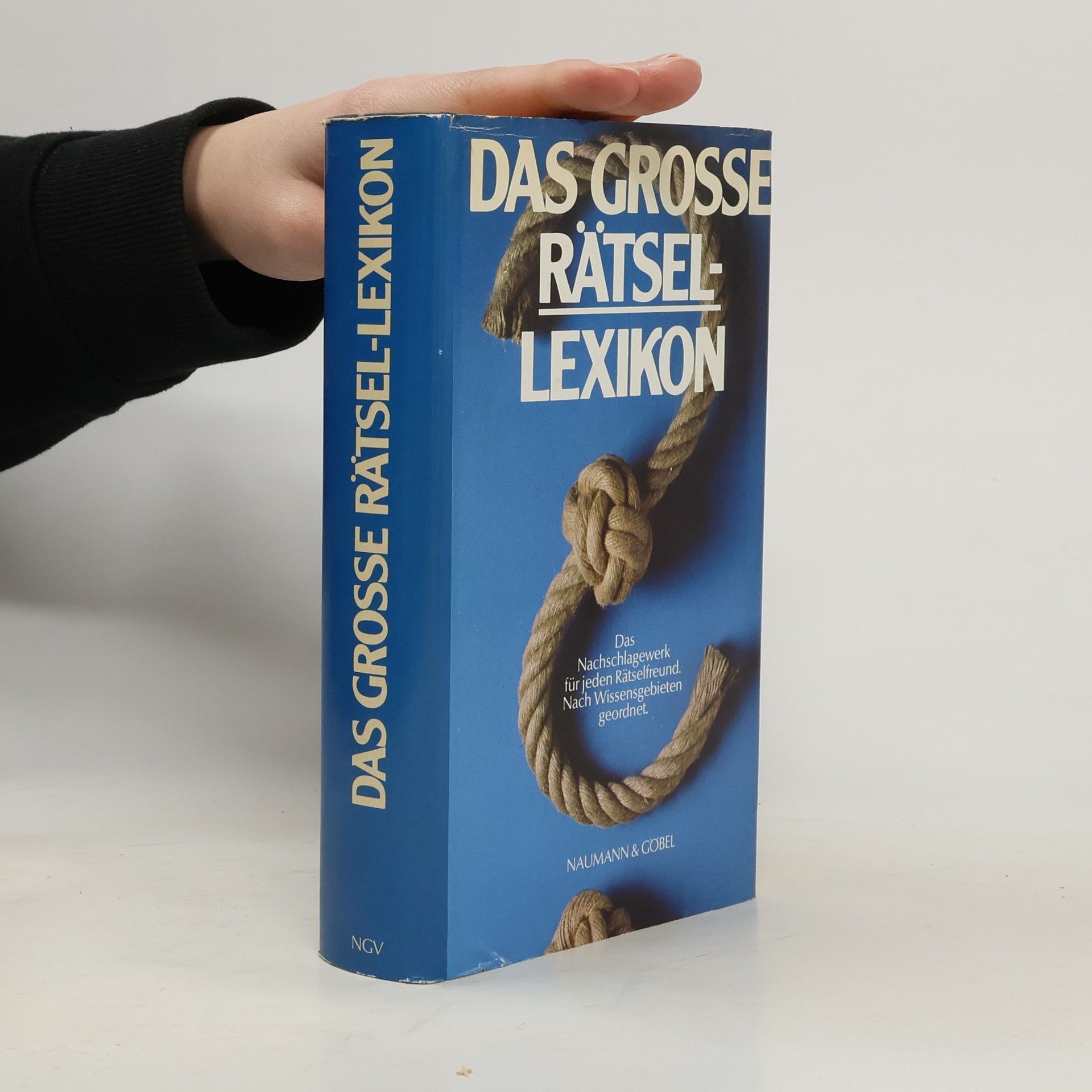 Kolektív autorov Das große Rätsel-Lexikon