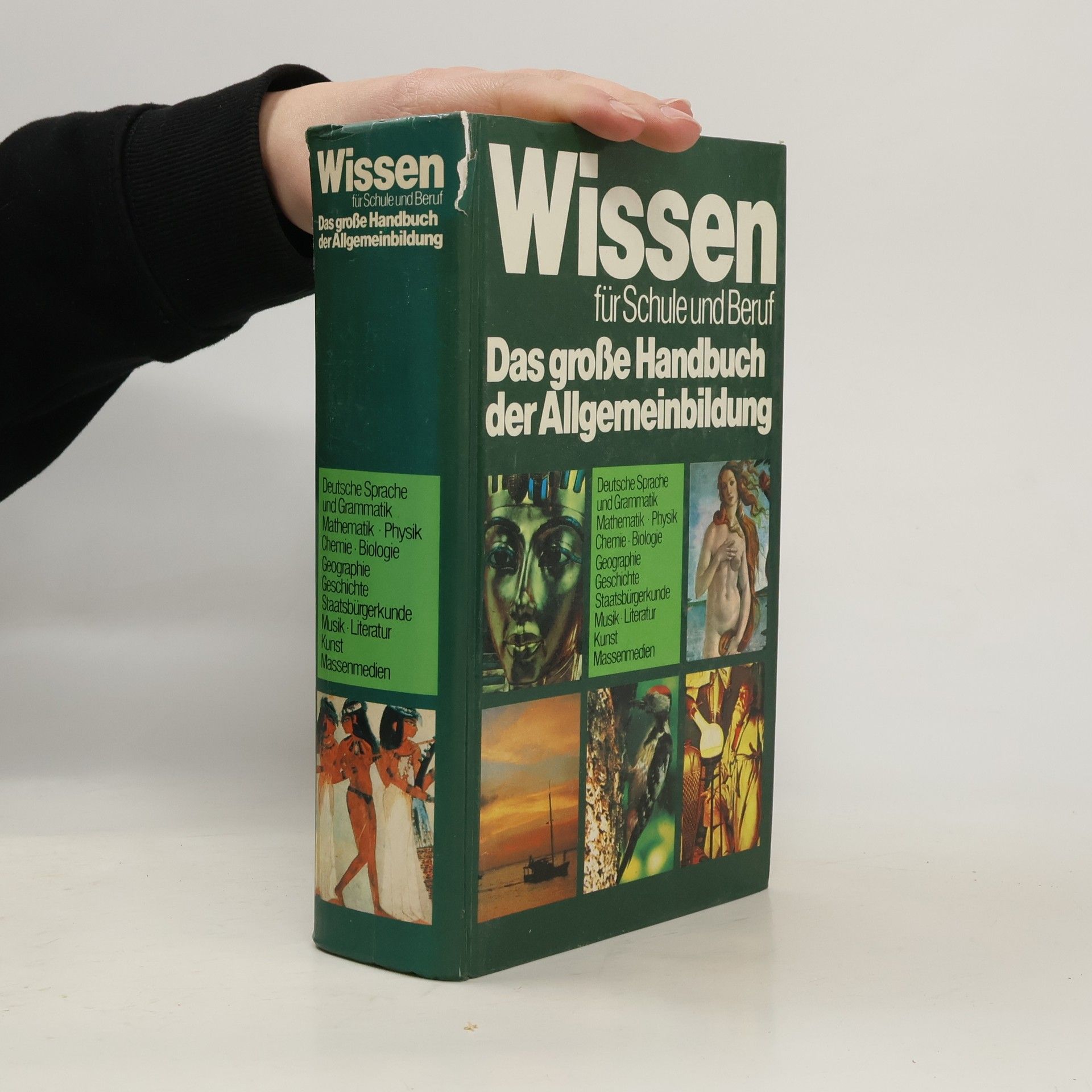 Autorenkollektiv Wissen für Schule und Beruf. Das große Handbuch der Allgemeinbildung