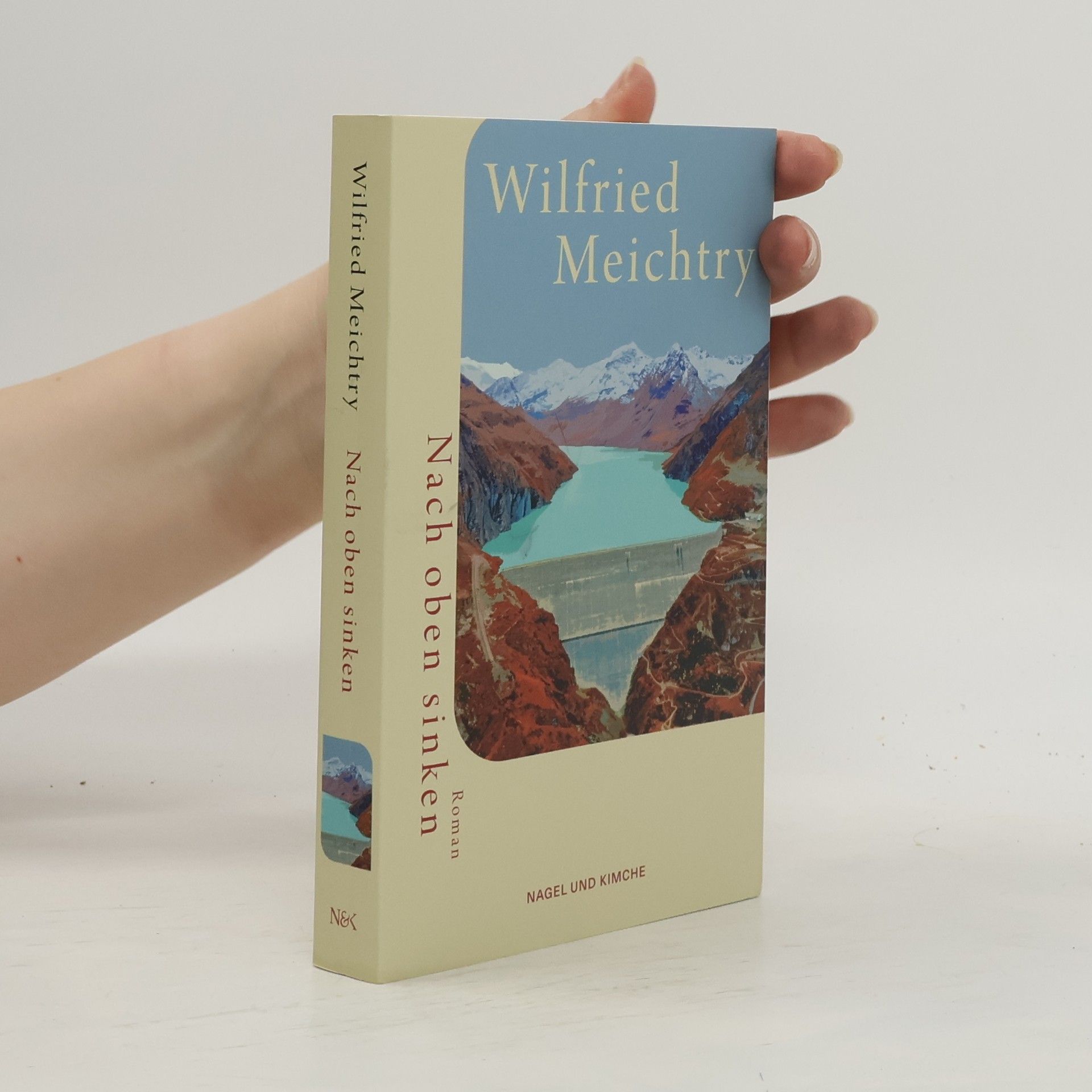 Wilfried Meichtry Nach oben sinken