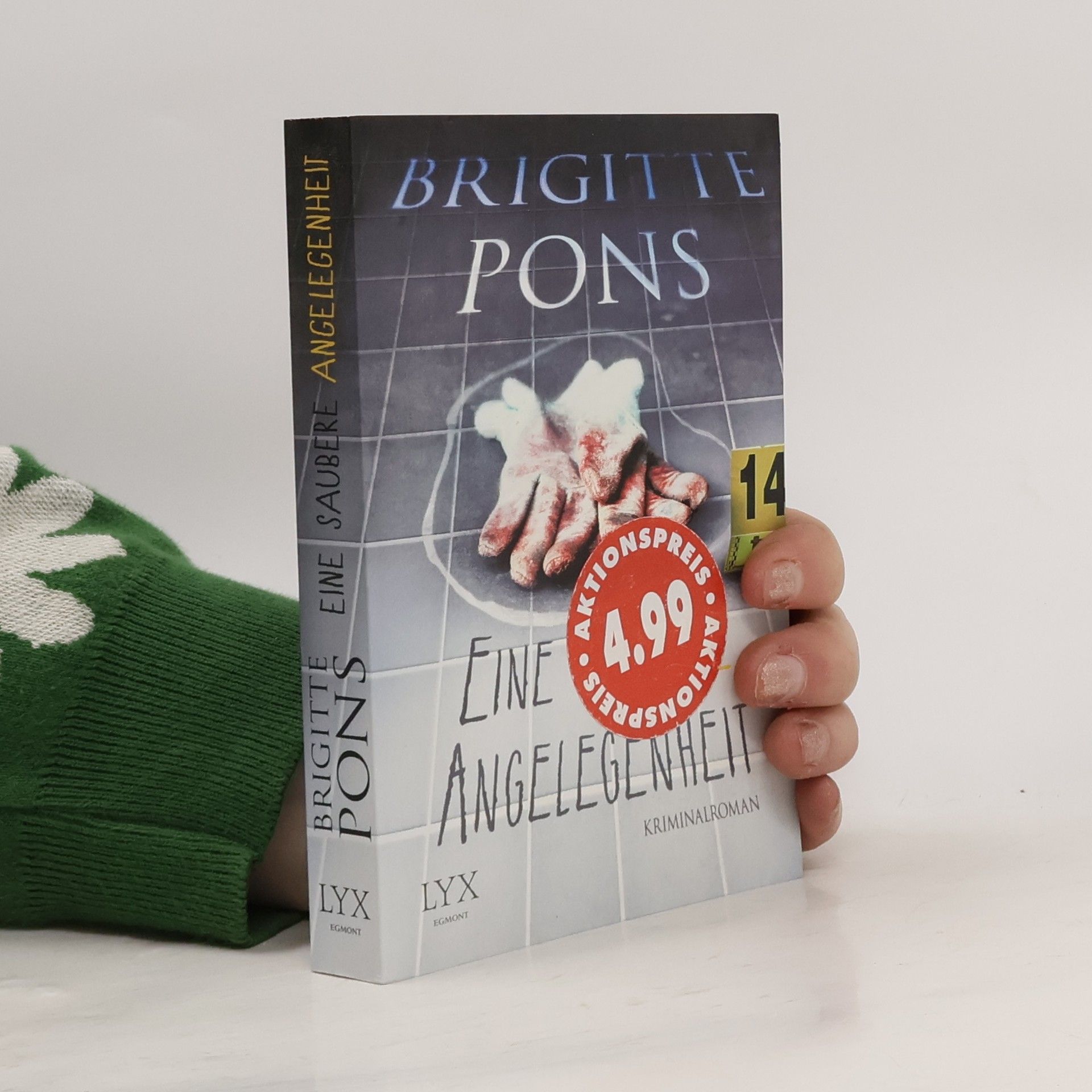 Brigitte Pons Eine saubere Angelegenheit