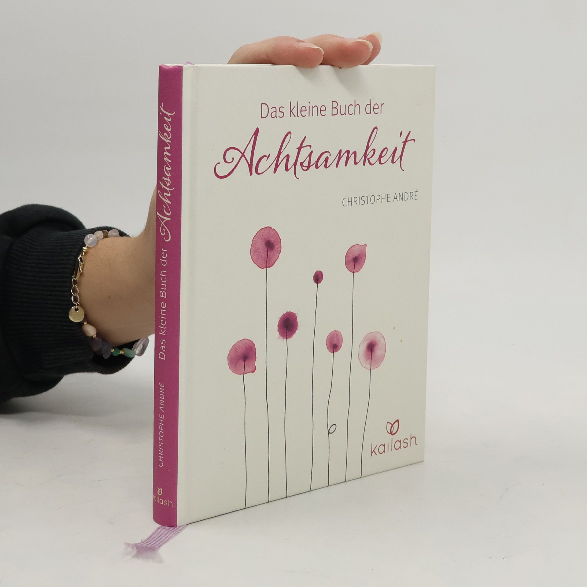 Christophe André Das kleine Buch der Achtsamkeit