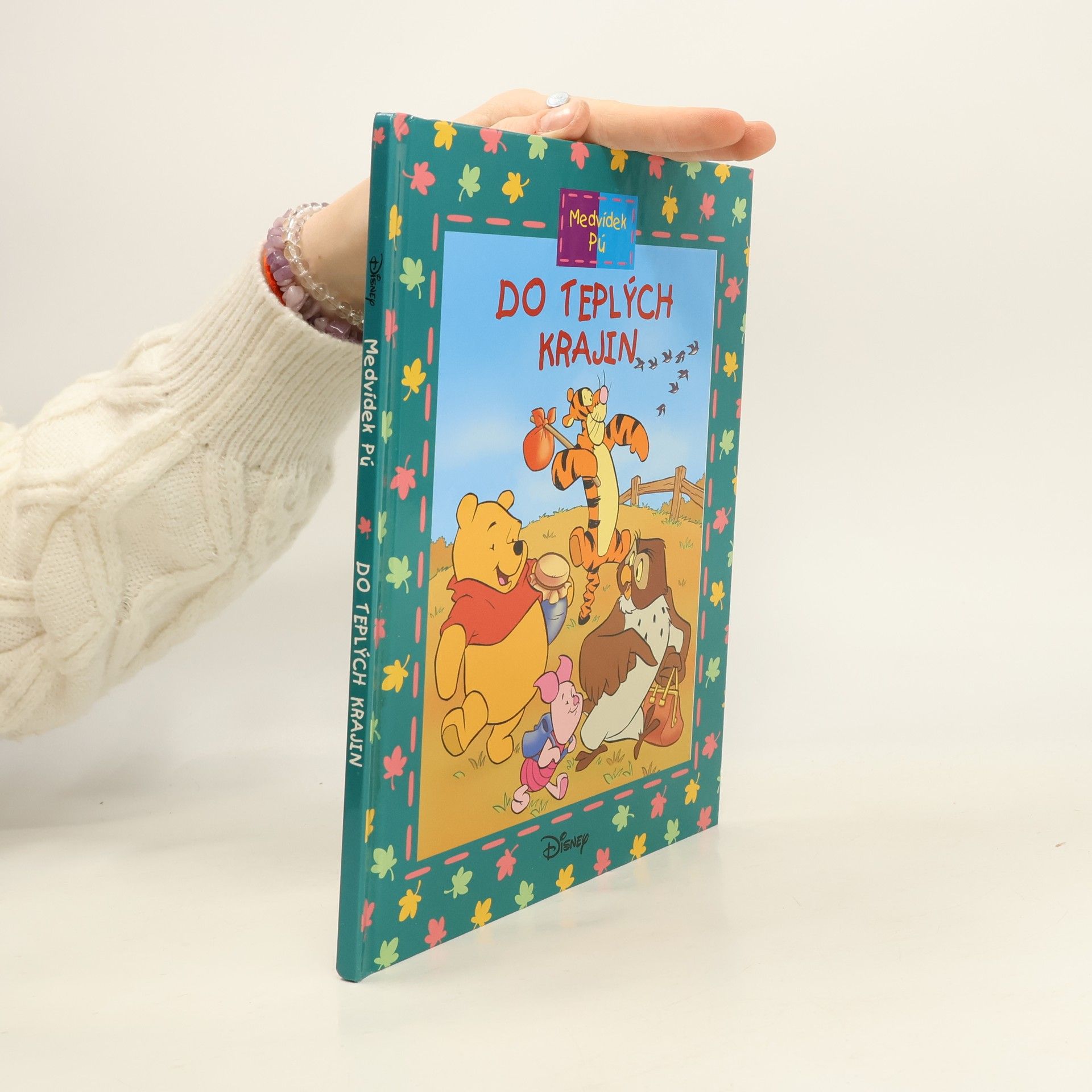 Medvídek Pú: Do teplých krajin