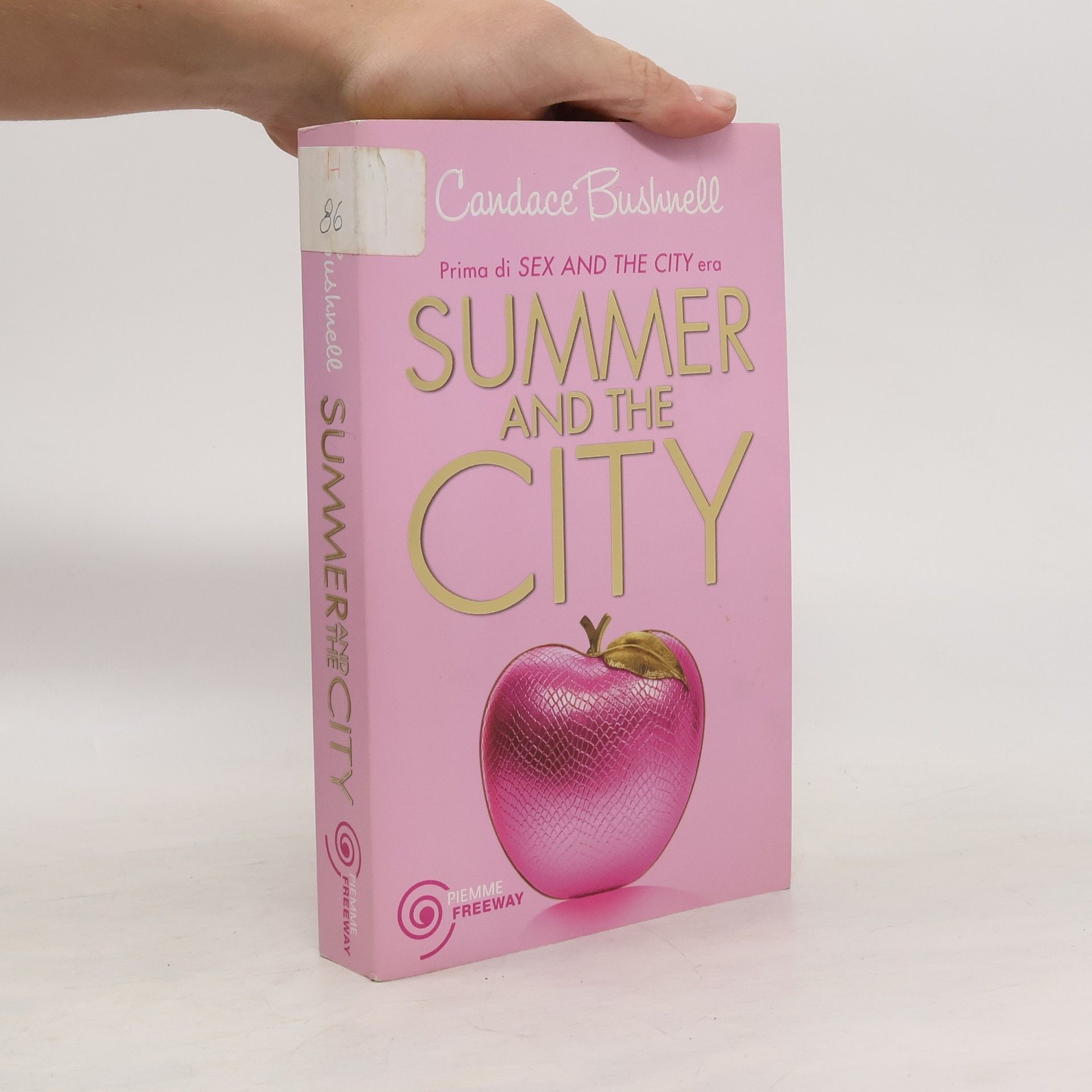 Candace Bushnell Summer and the City