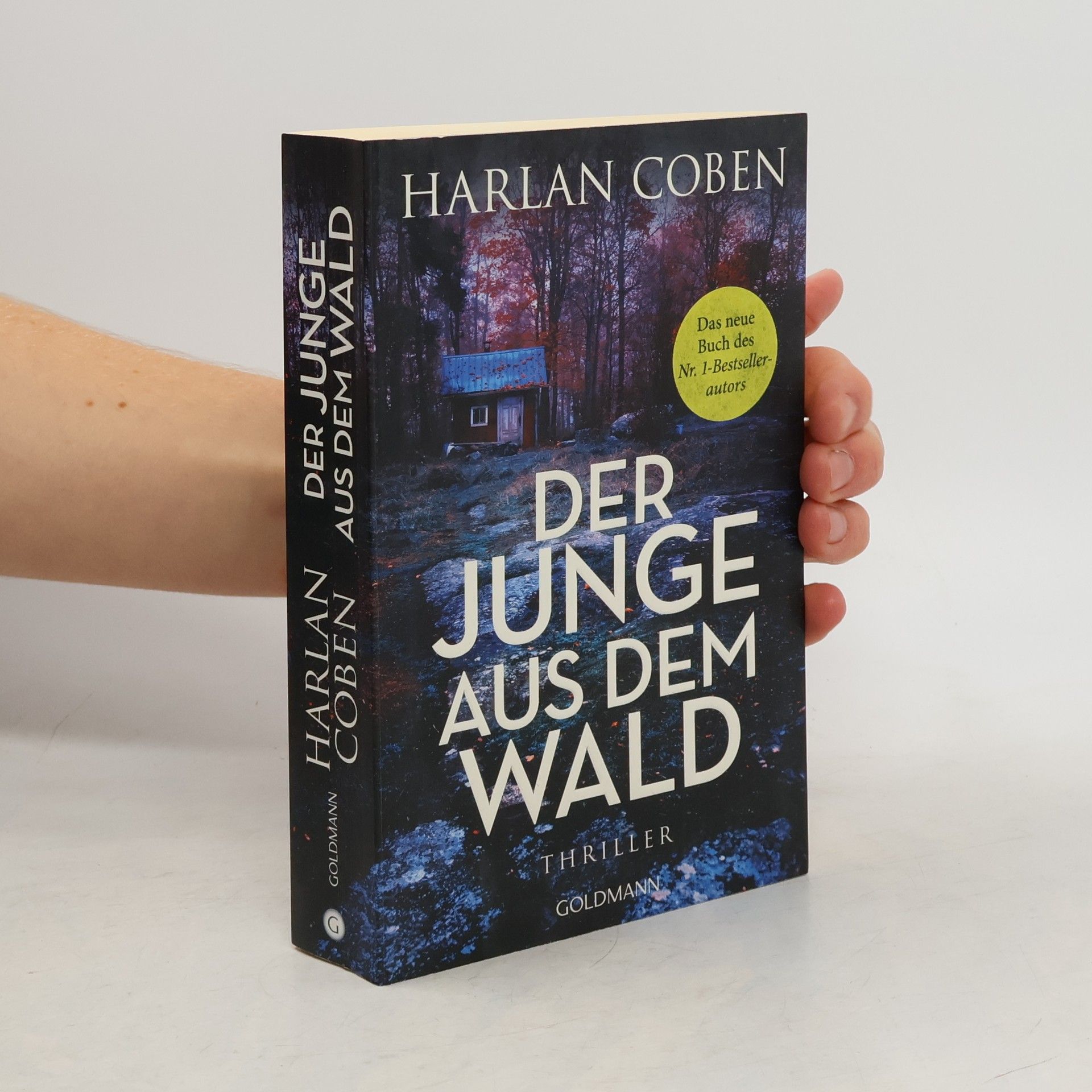 Harlan Coben Der Junge aus dem Wald